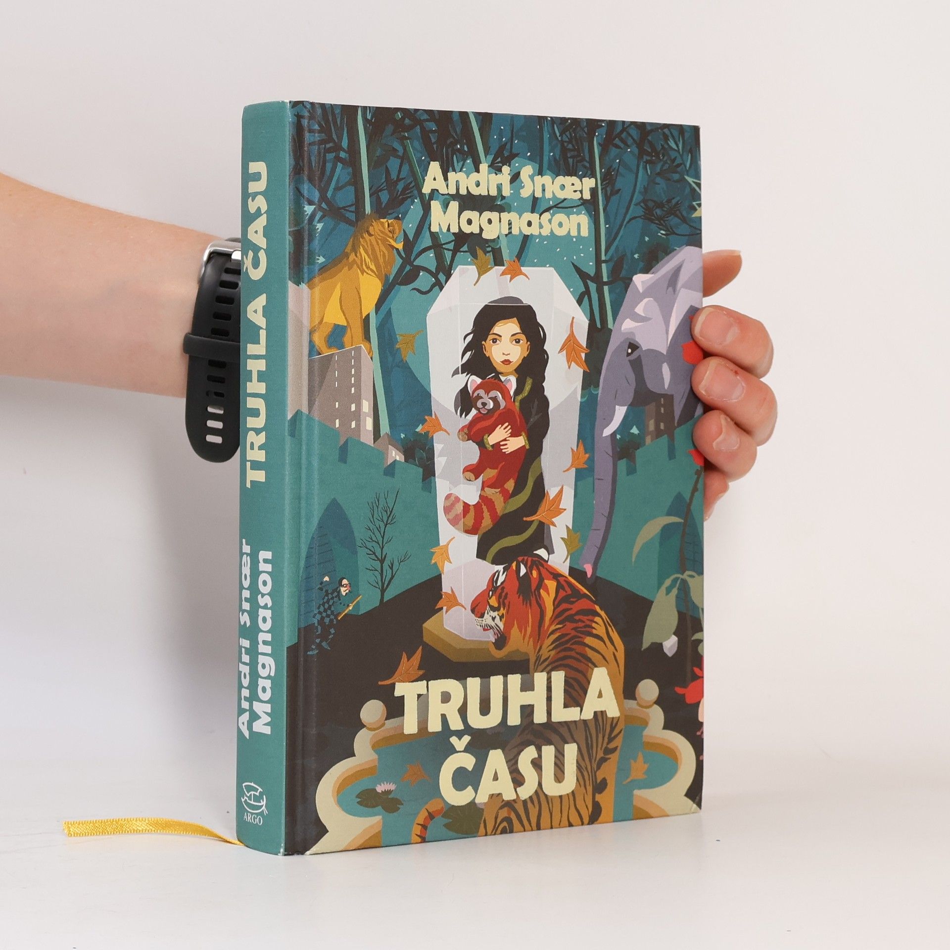 Magnason Andri Snaer Truhla času