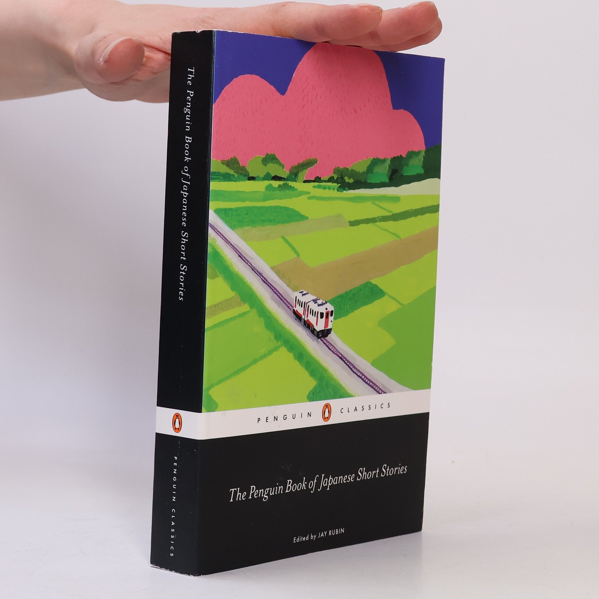 Jay Rubin The Penguin Book of Japanese short stories