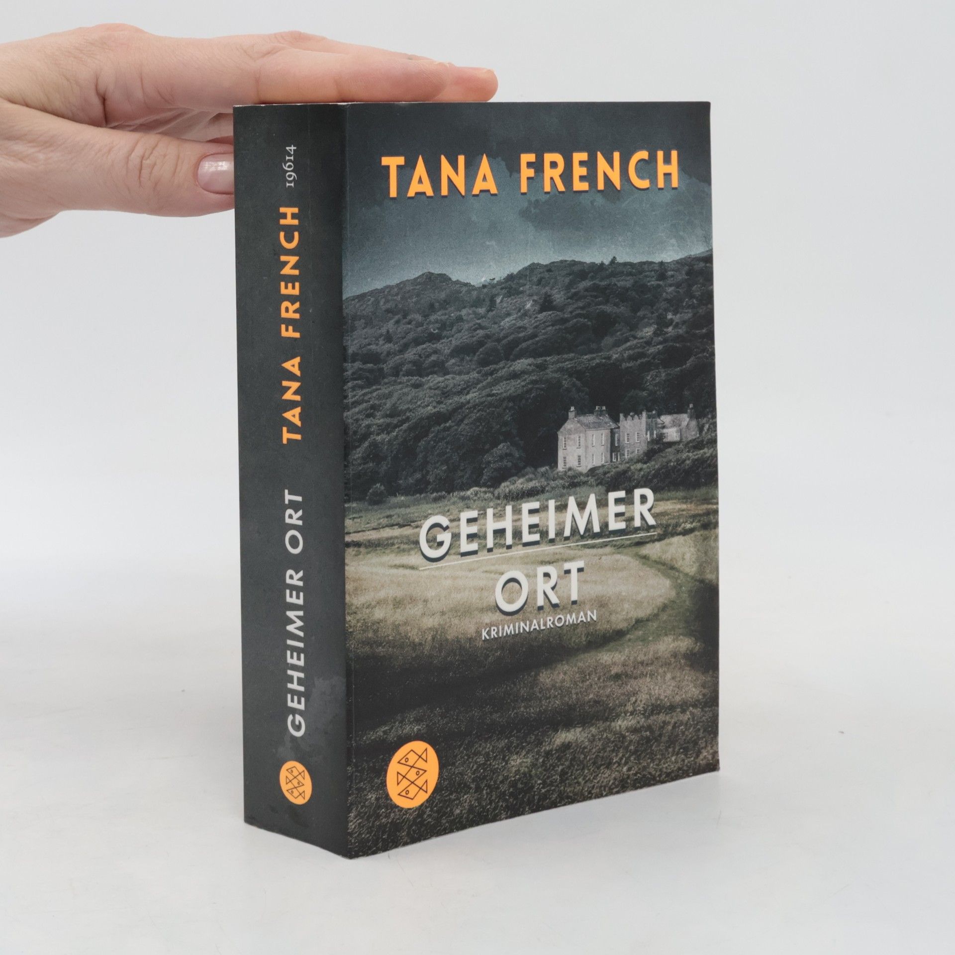 Tana Frenchová Geheimer Ort