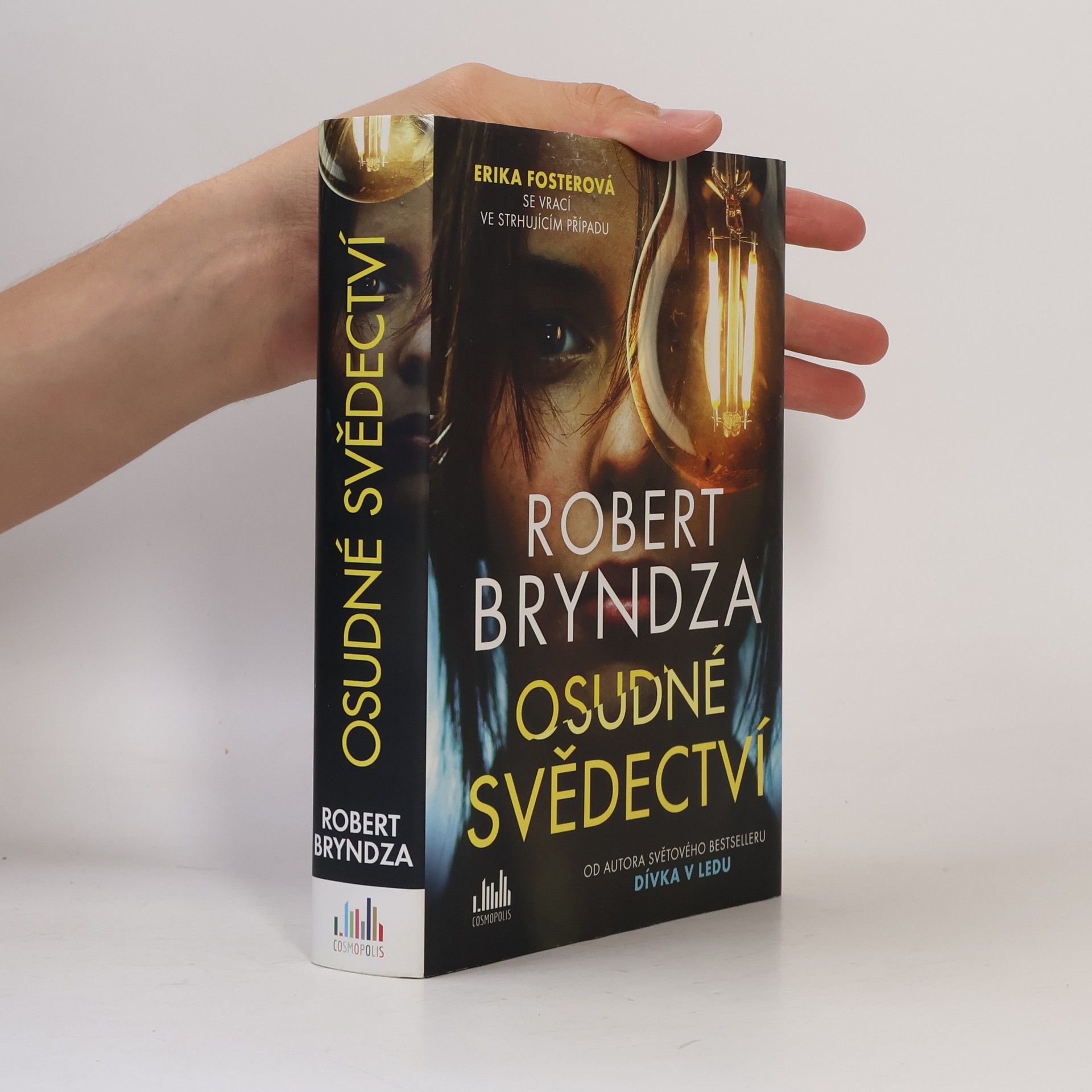 Robert Bryndza Osudné svědectví