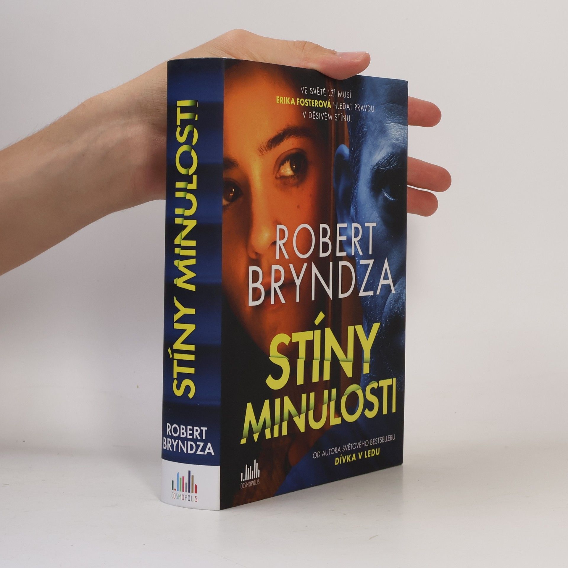 Robert Bryndza Stíny minulosti