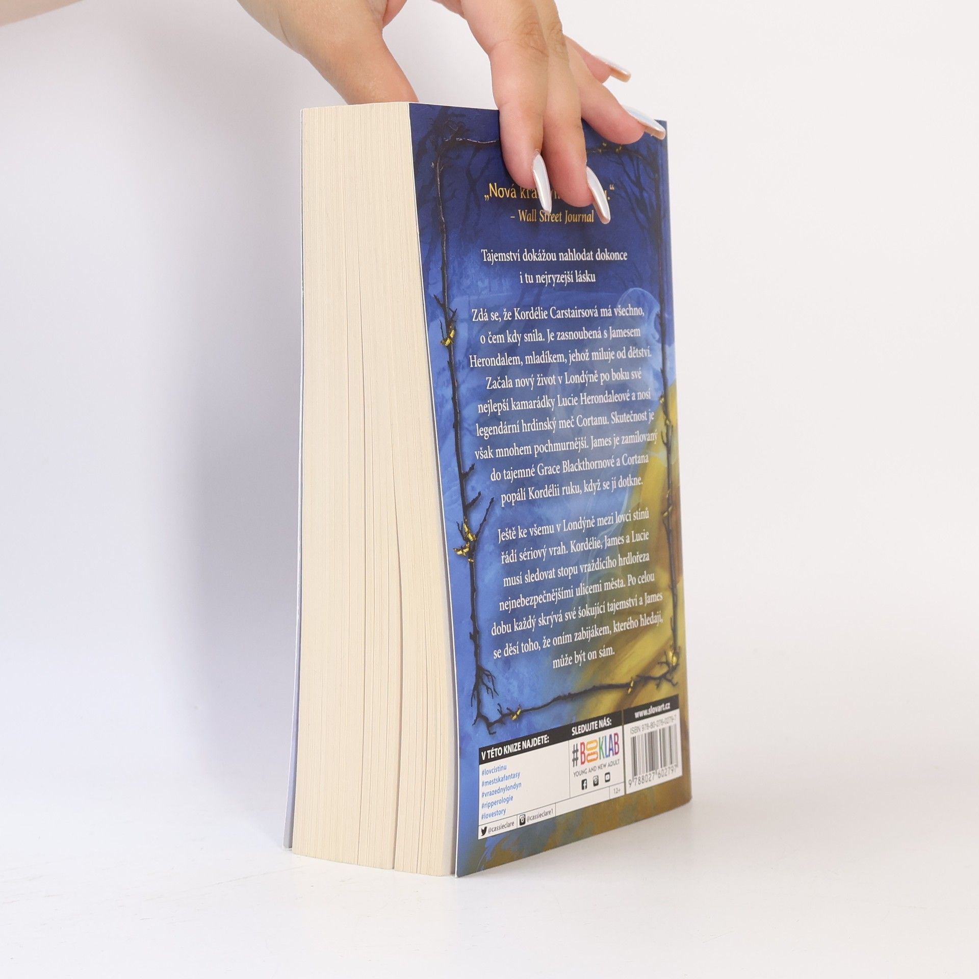 Cassandra Clare Poslední hodina. Kniha druhá, Řetěz ze železa