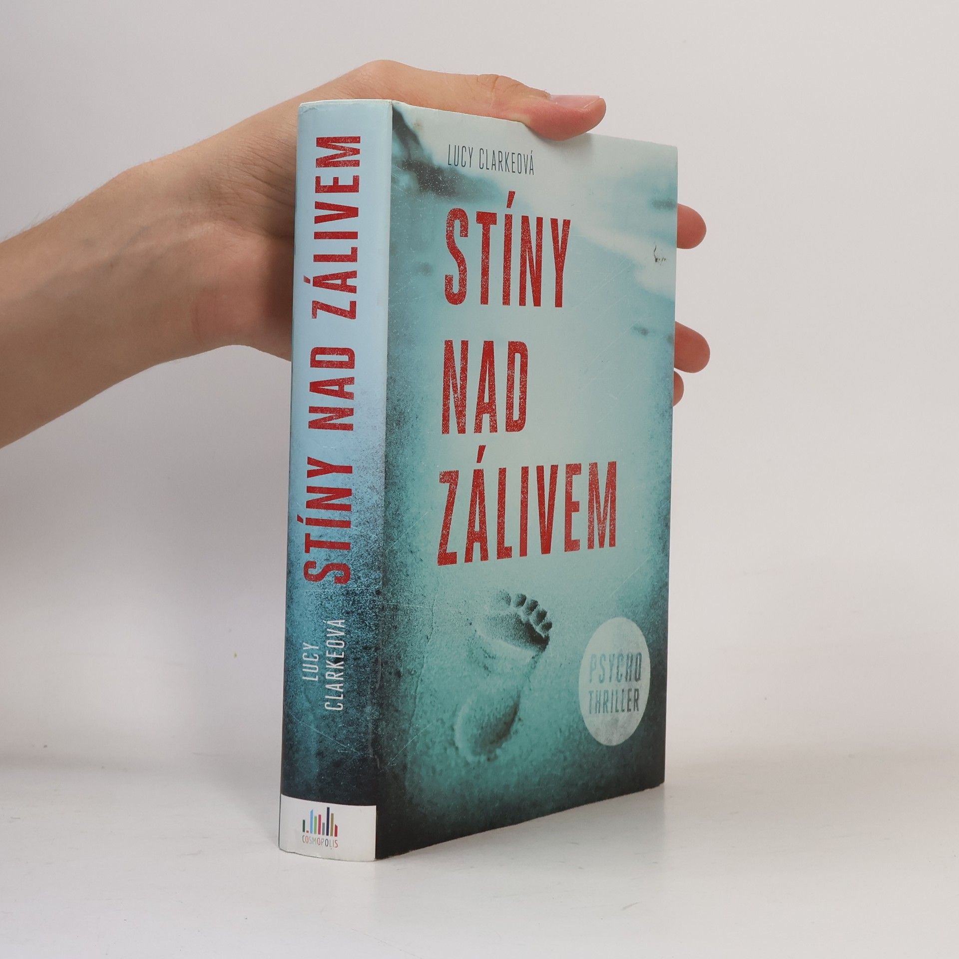 Lucy Clarke Stíny nad zálivem