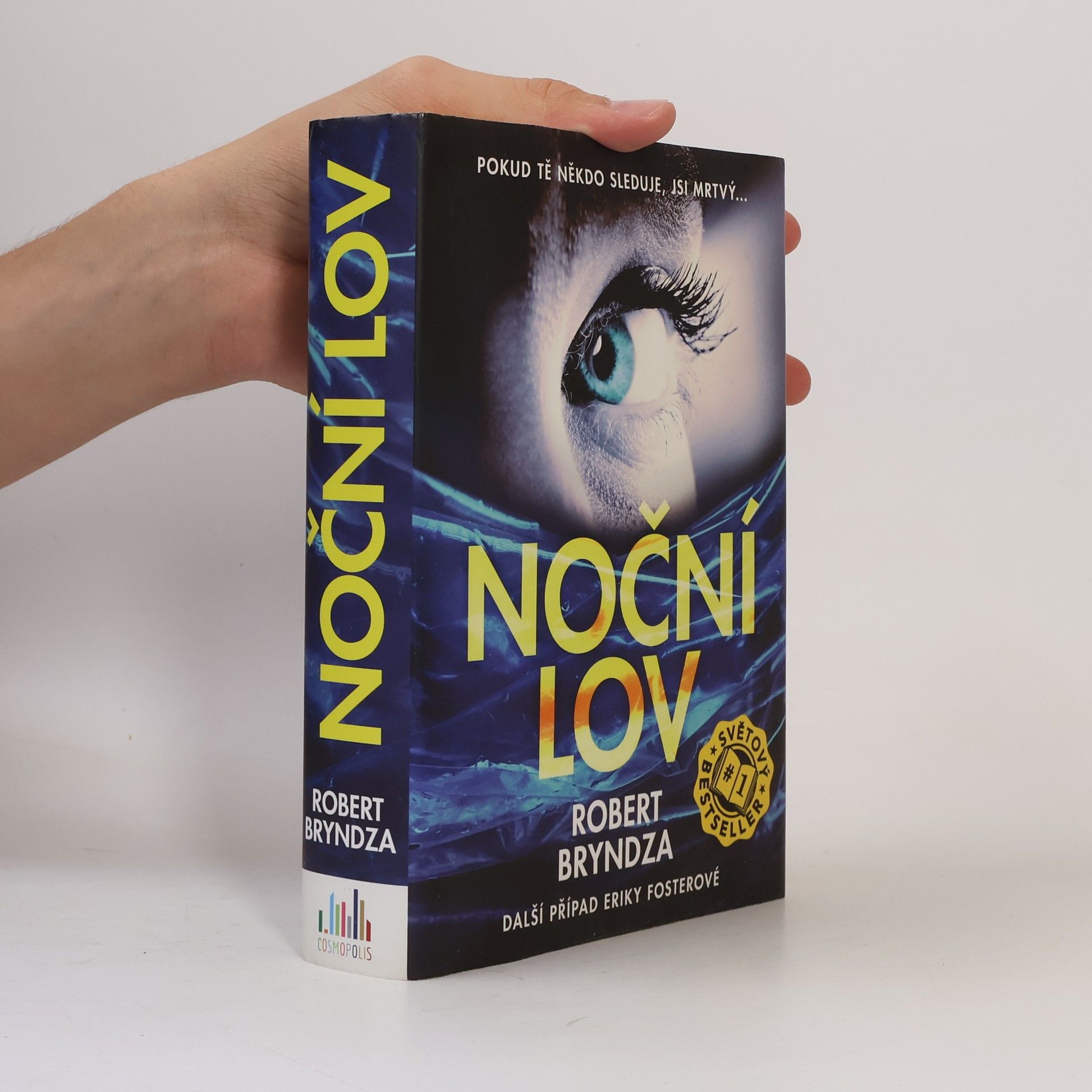 Robert Bryndza Noční lov