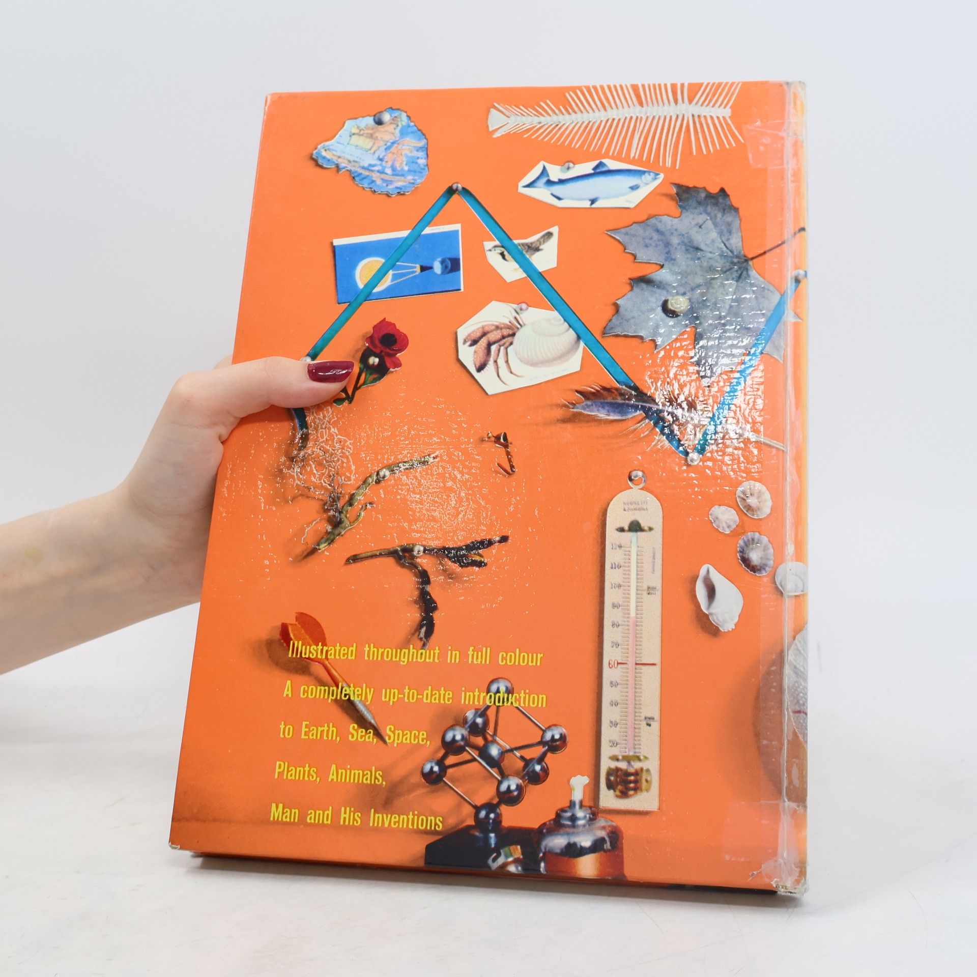 Bertha Morris Parker My Colour Book of Knowledge