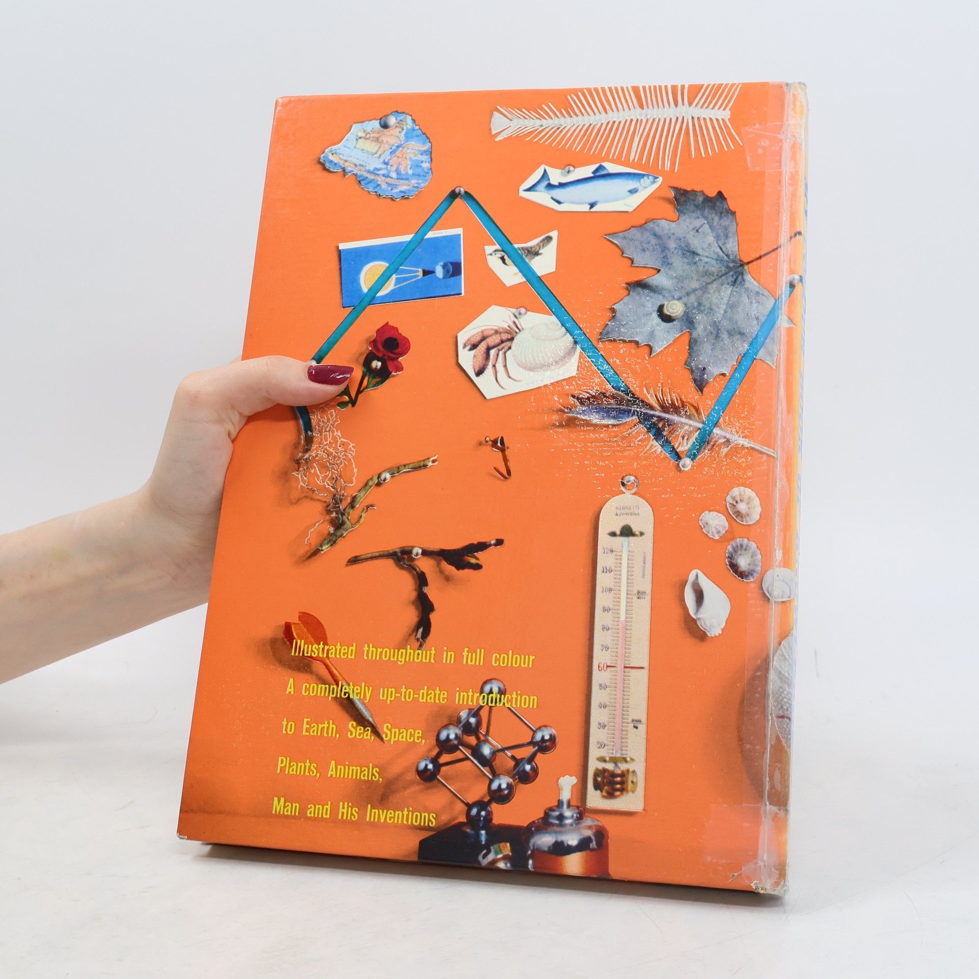 Bertha Morris Parker My Colour Book of Knowledge
