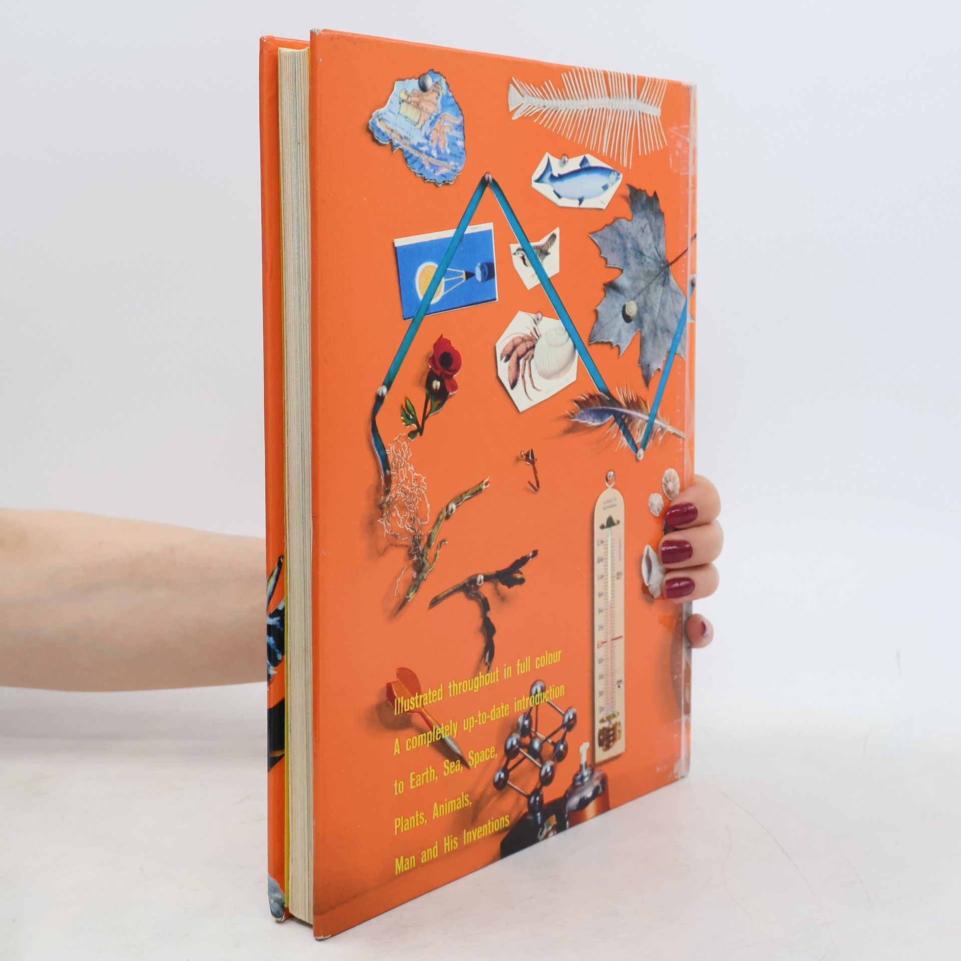 Bertha Morris Parker My Colour Book of Knowledge
