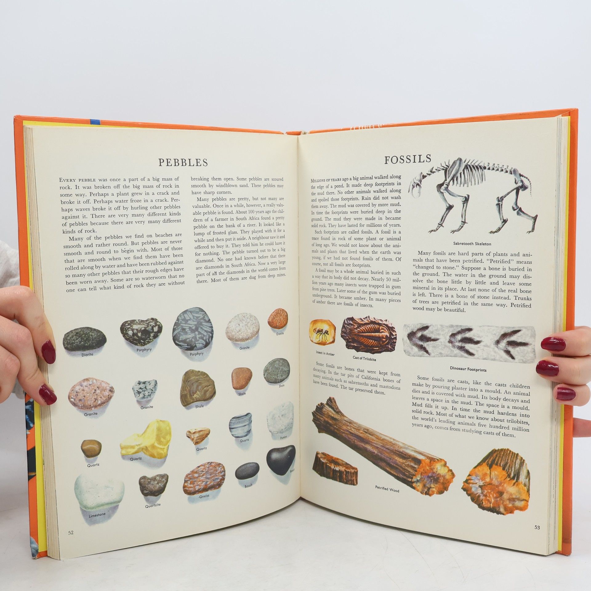 Bertha Morris Parker My Colour Book of Knowledge