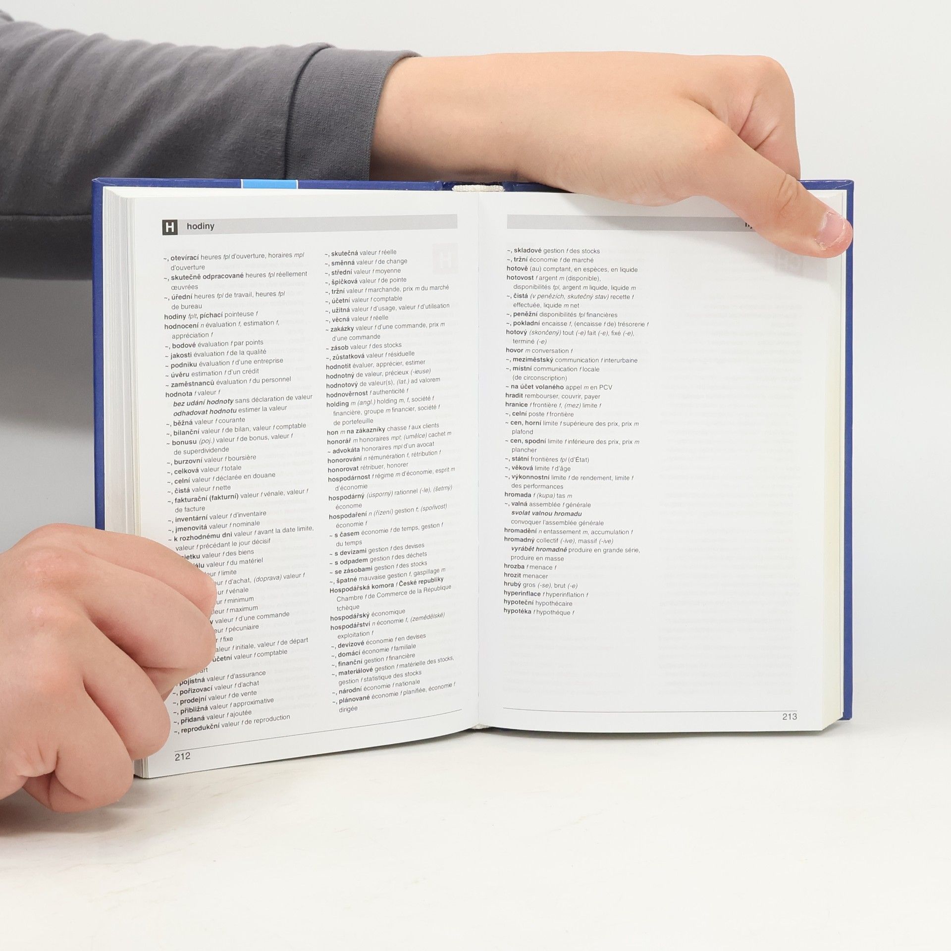 Zora Kidlesová Francouzsko-český a česko-francouzský hospodářský slovník = Dictionnaire économique français-tchèque, tchèque-français