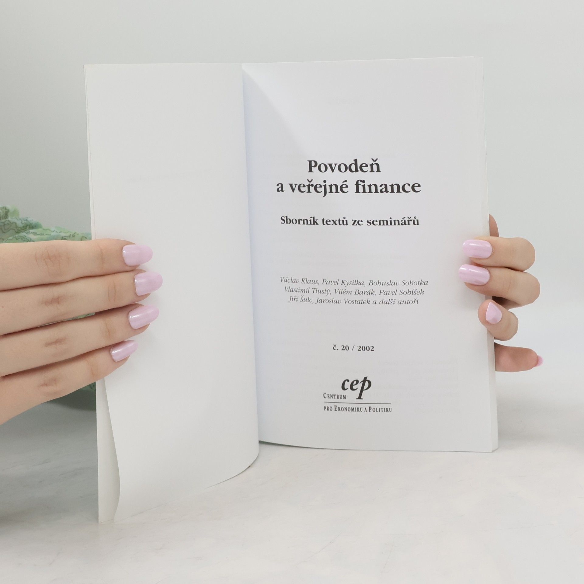 Kolektiv autorů Povodeň a veřejné finance. Sborník textů