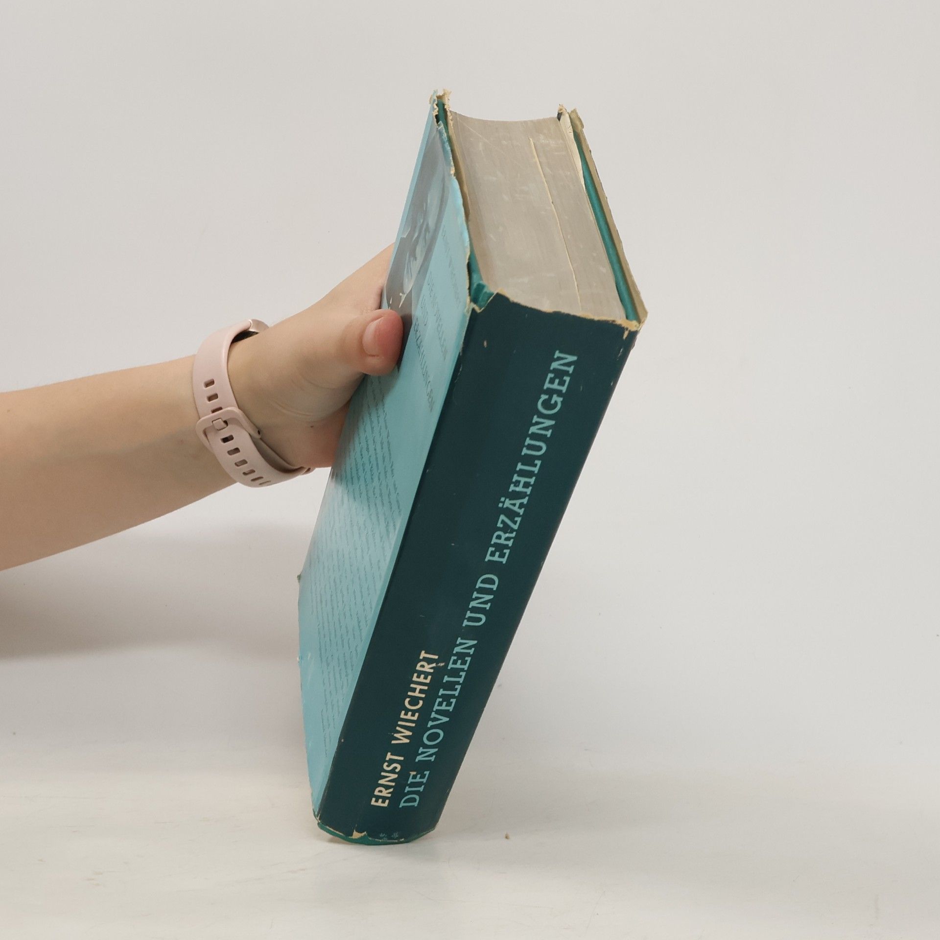 Ernst Wichert Die Novellen und Erzählungen