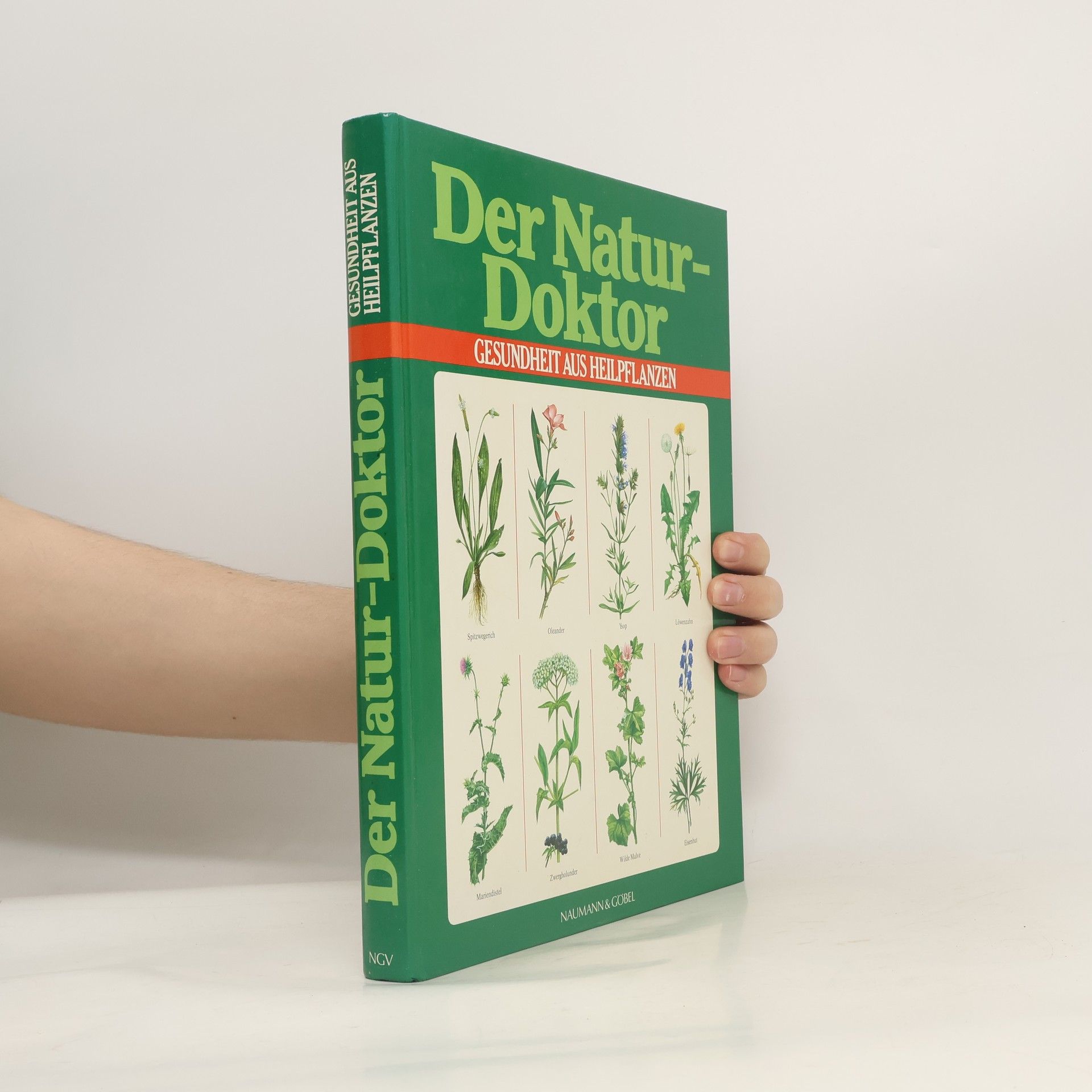 Jürgen Saupe Der Naturdoktor