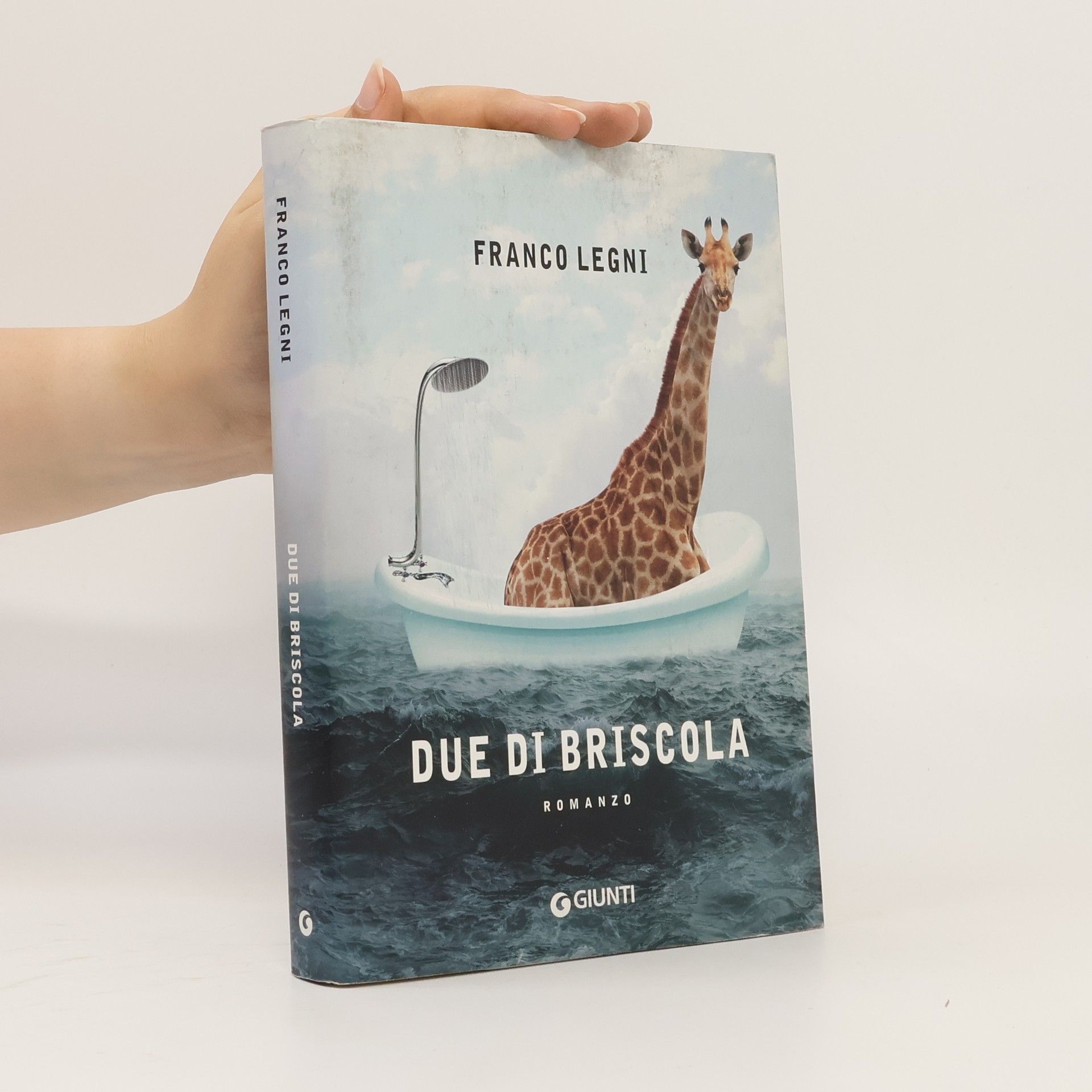 Franco Legni Due di Briscola