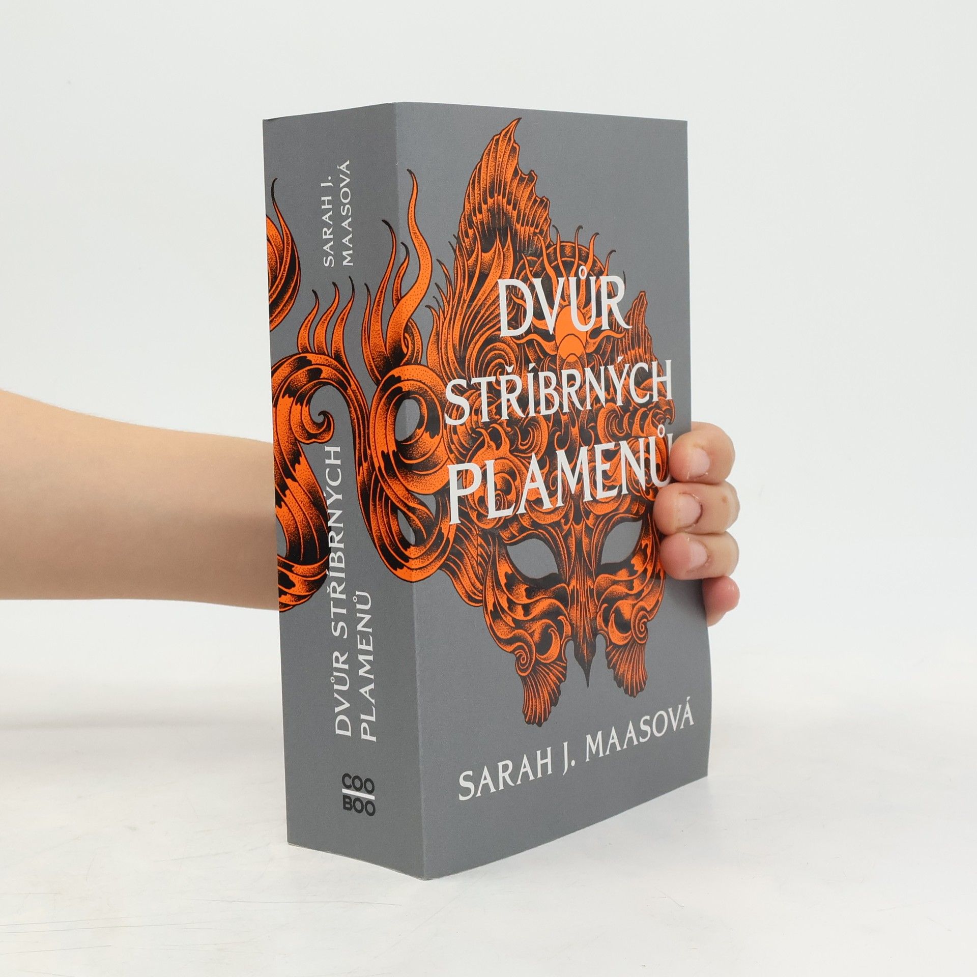 Sarah J. Maas Dvůr stříbrných plamenů