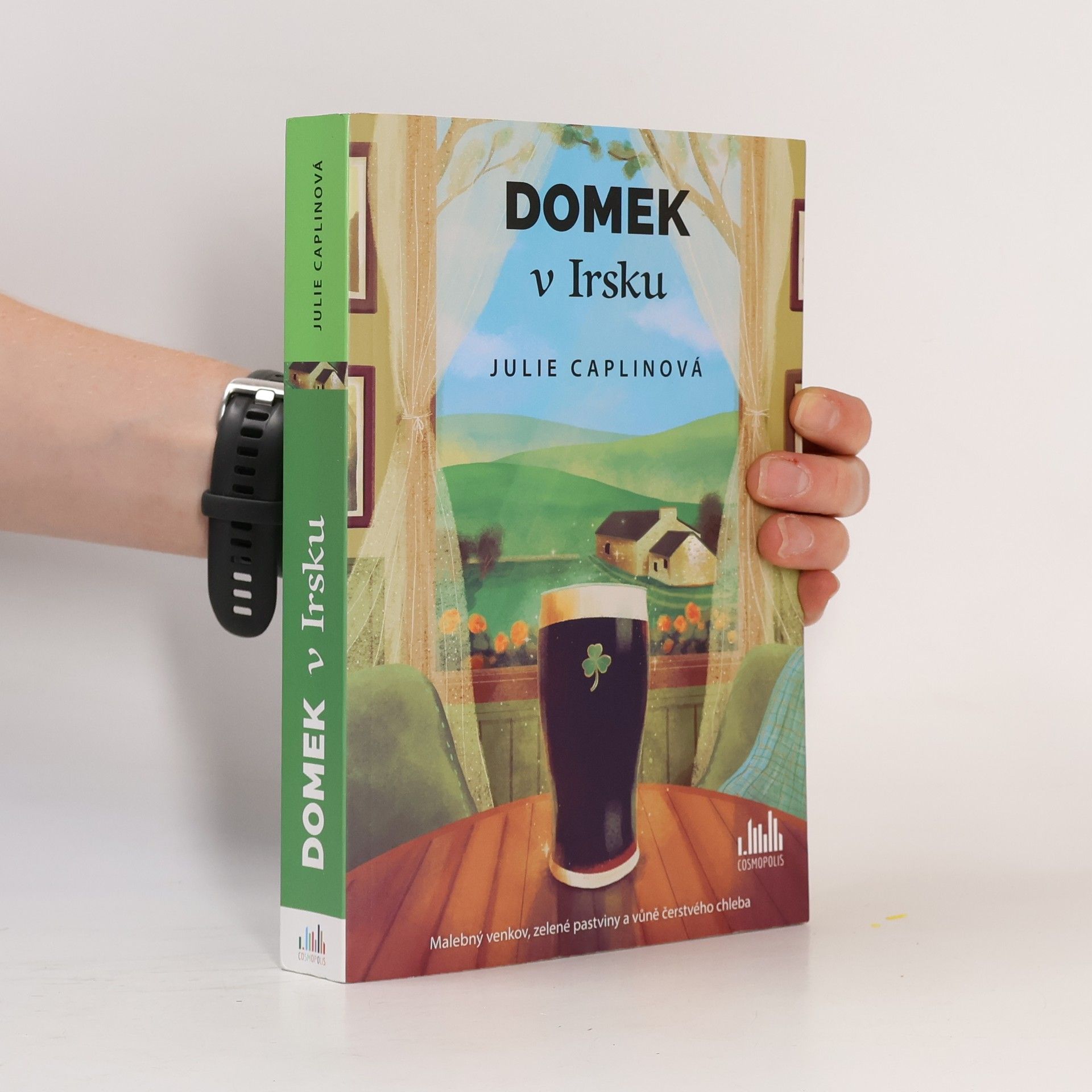 Julie Caplin Domek v Irsku