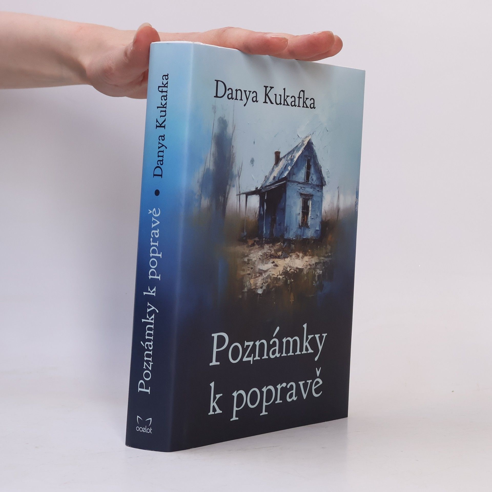 Danya Kukafka Poznámky k popravě