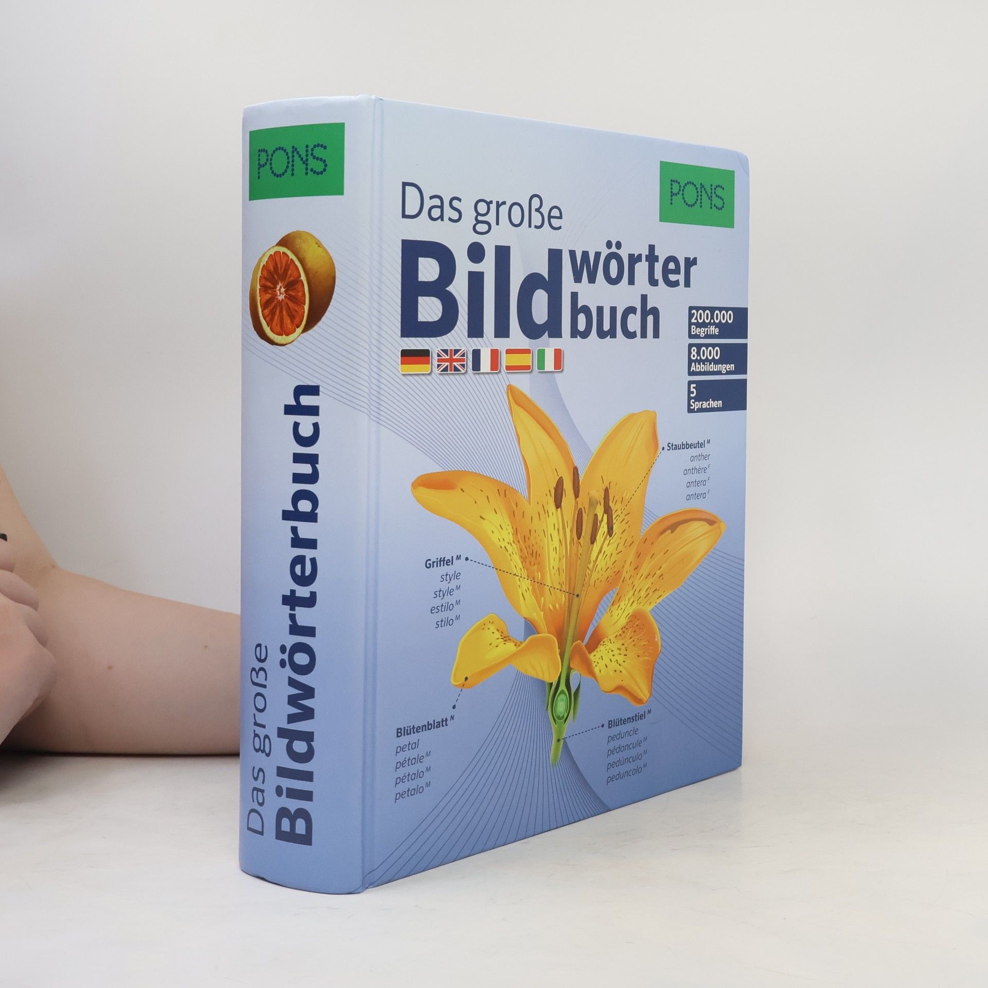 Jean-Claude Corbeil PONS Das große Bildwörterbuch