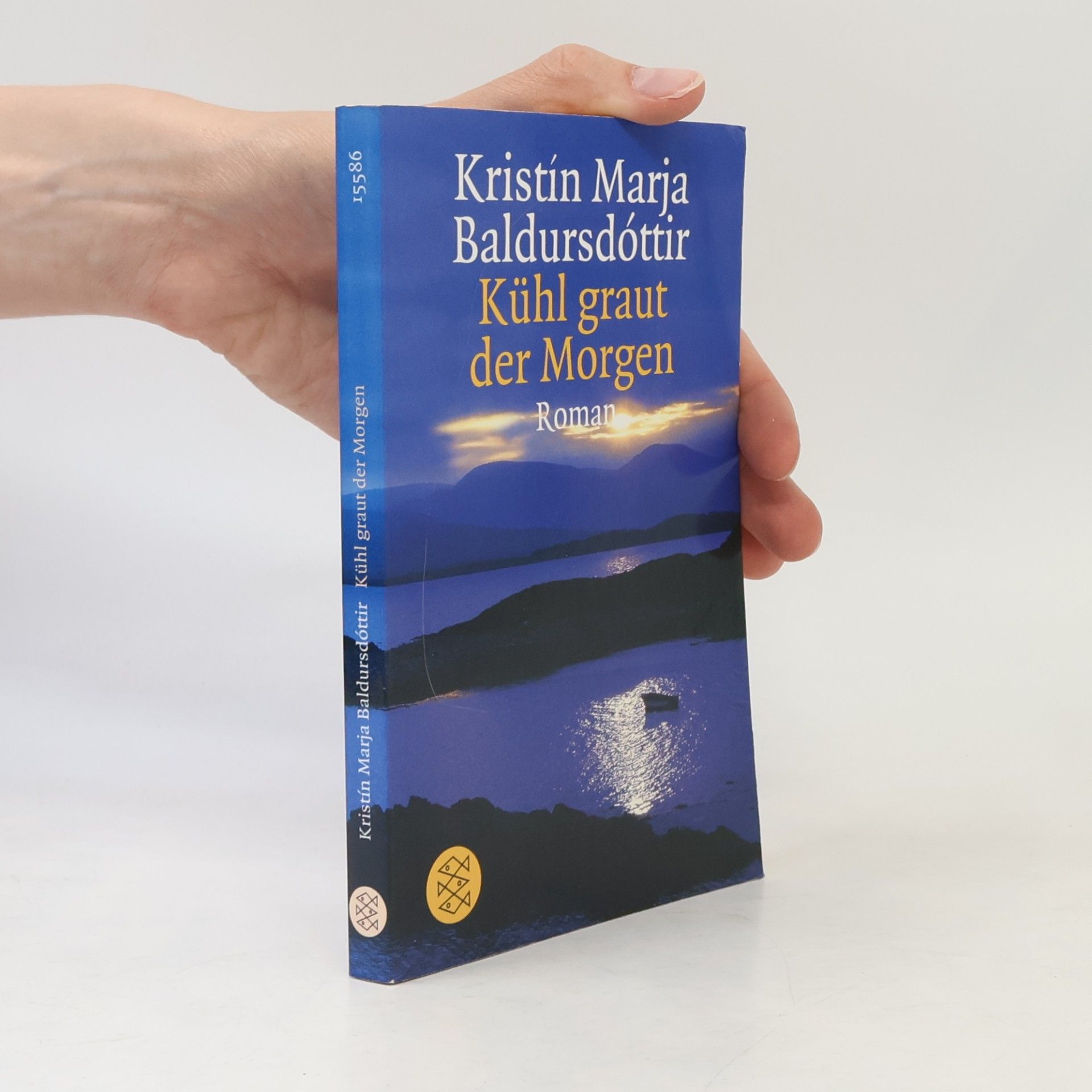 Kristín Marja Baldursdóttir Kühl graut der Morgen