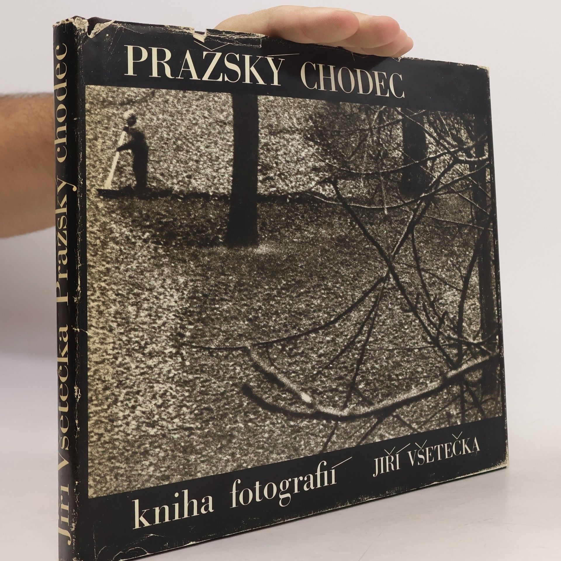 Jiří Všetečka Pražský chodec
