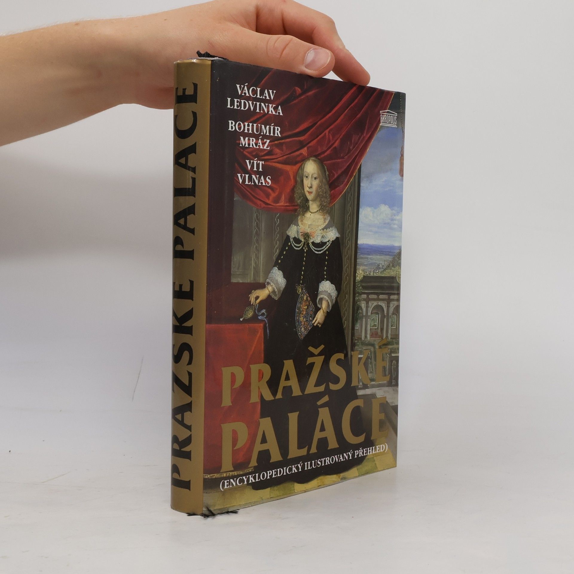 Václav Ledvinka Pražské paláce