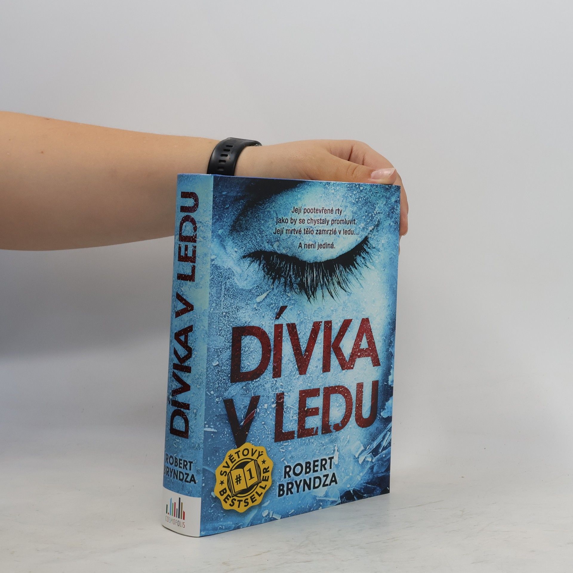 Robert Bryndza Dívka v ledu