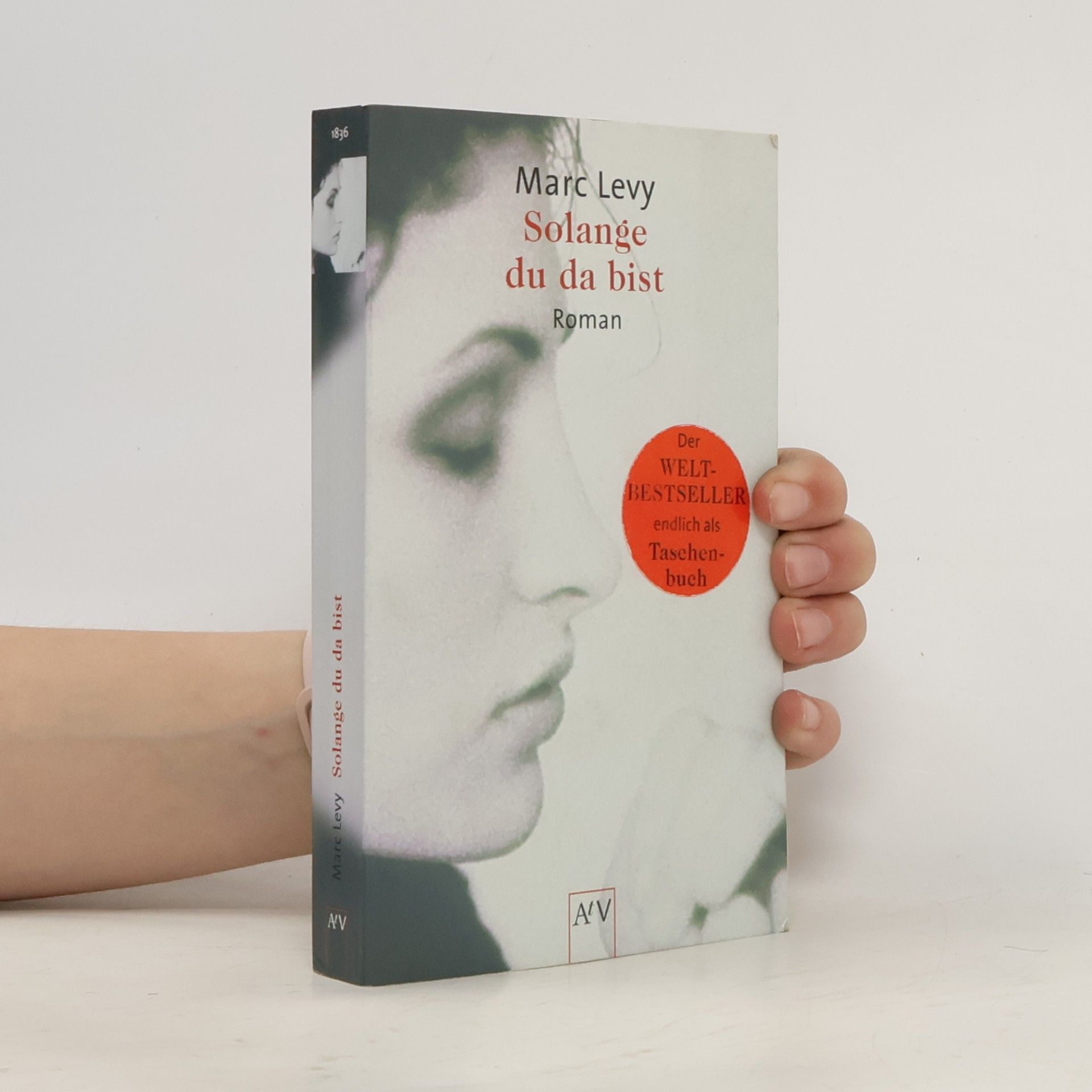 Marc Levy Solange du da bist