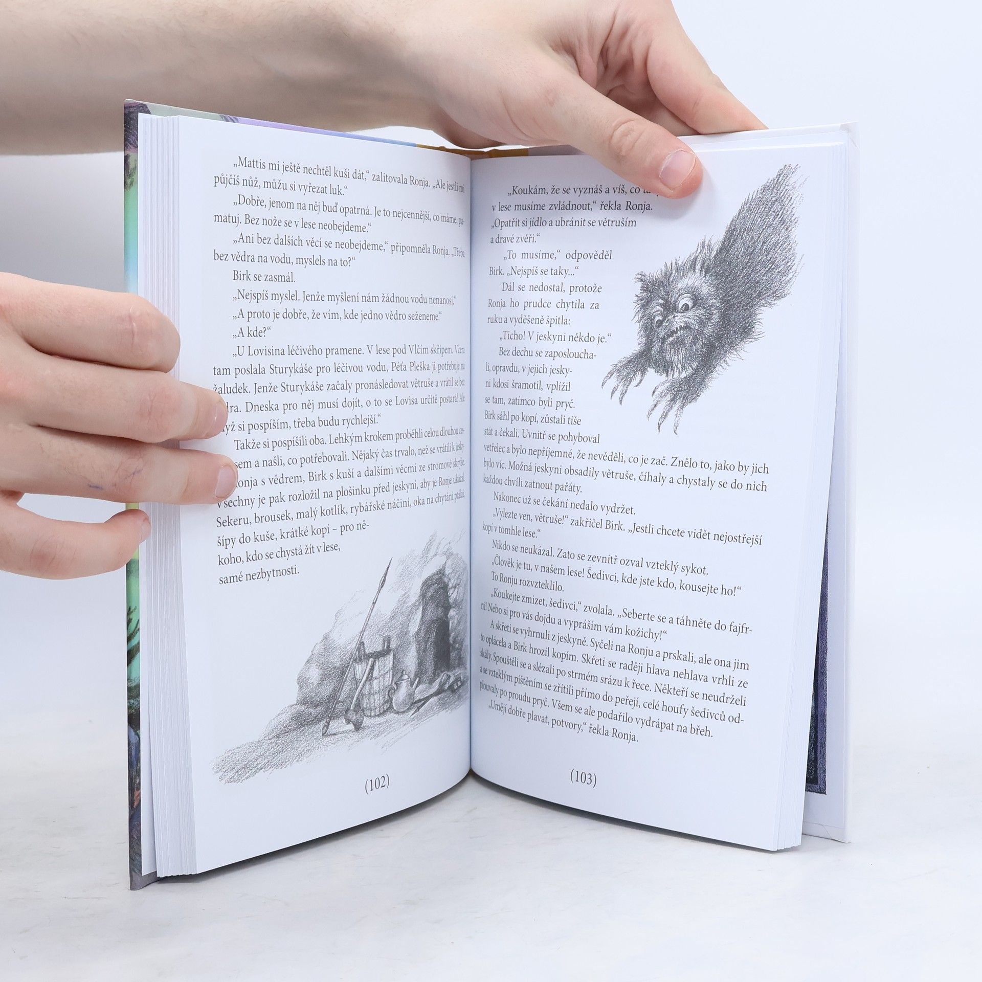 Astrid Lindgren Ronja, dcera loupežníka
