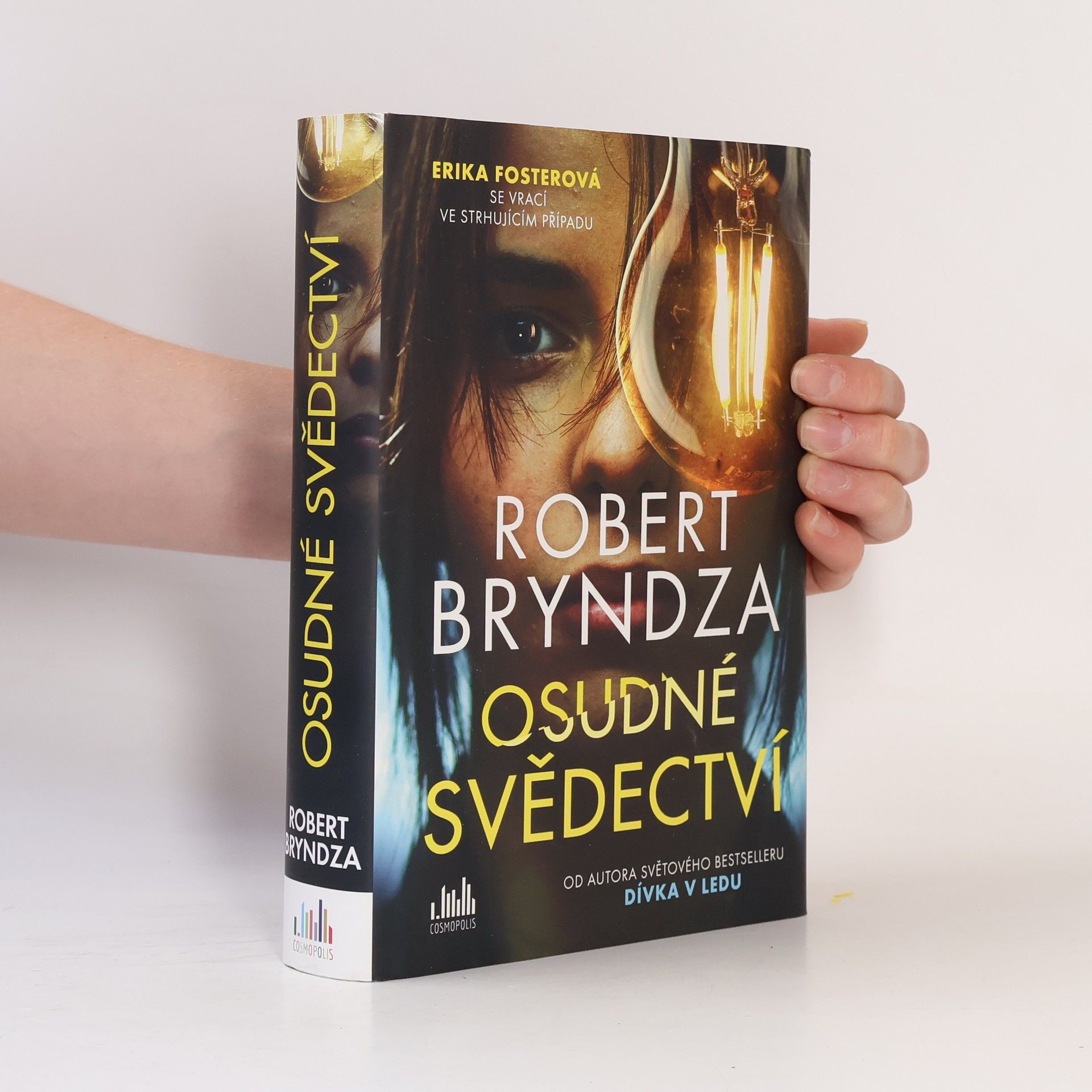 Robert Bryndza Osudné svědectví