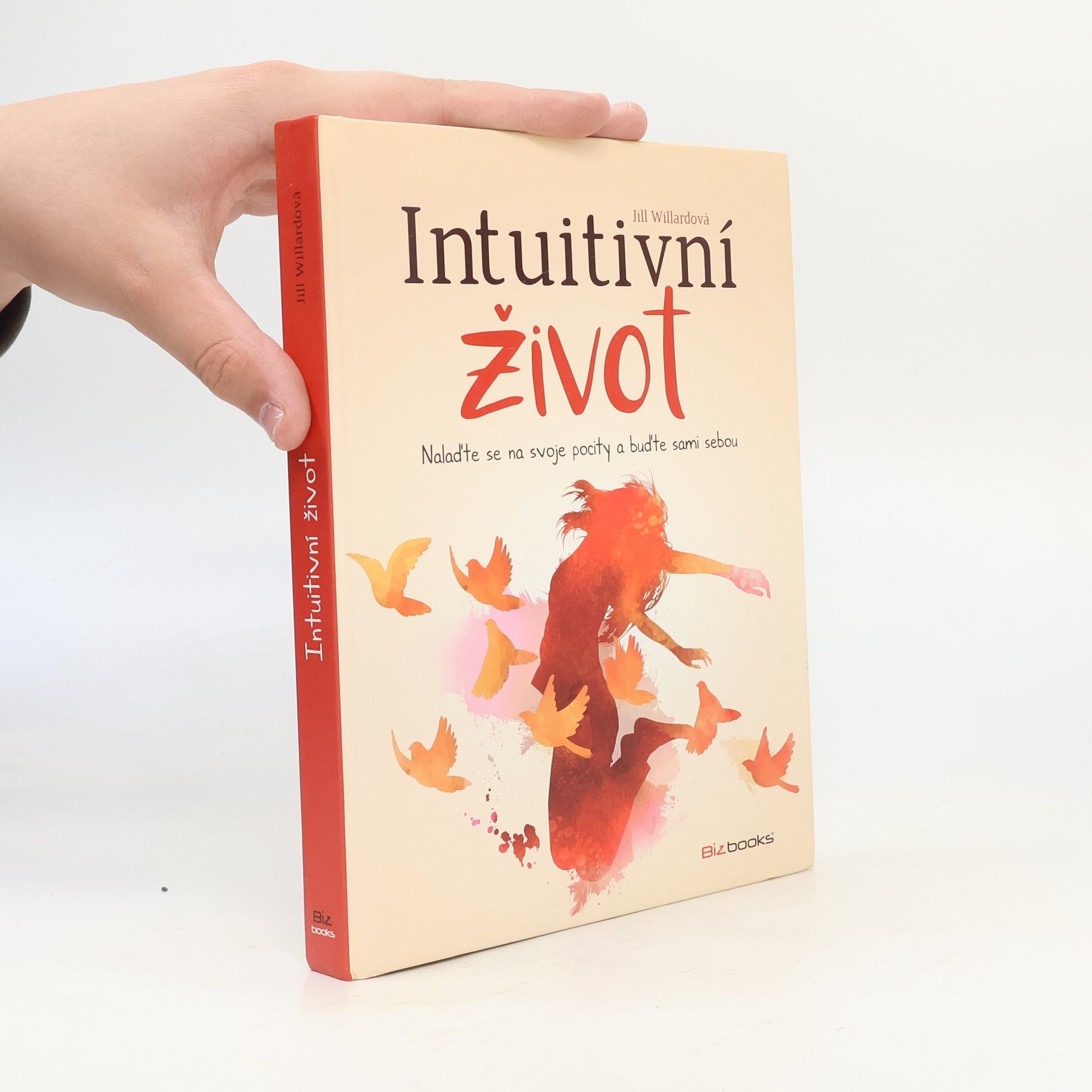Jill Willard Intuitivní život: Nalaďte se na svou intuici a buďte sami sebou