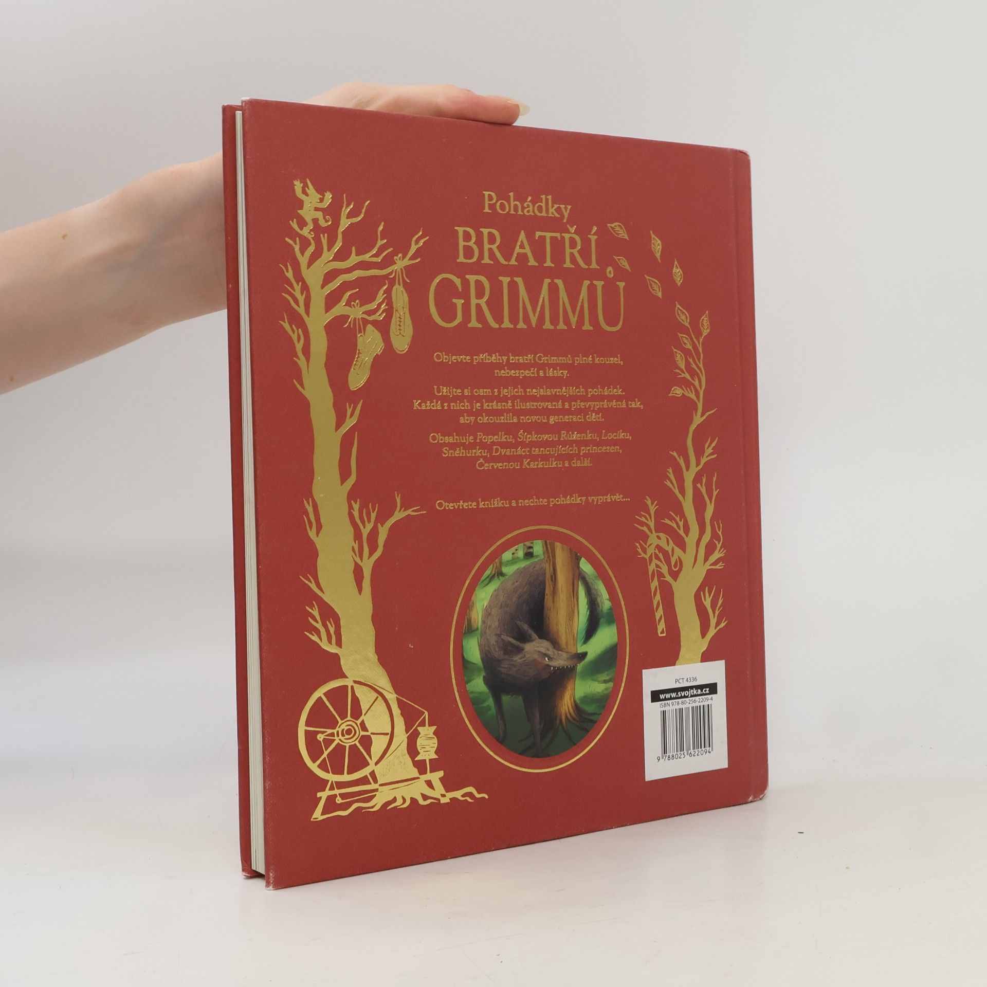Jacob Grimm Pohádky bratří Grimmů