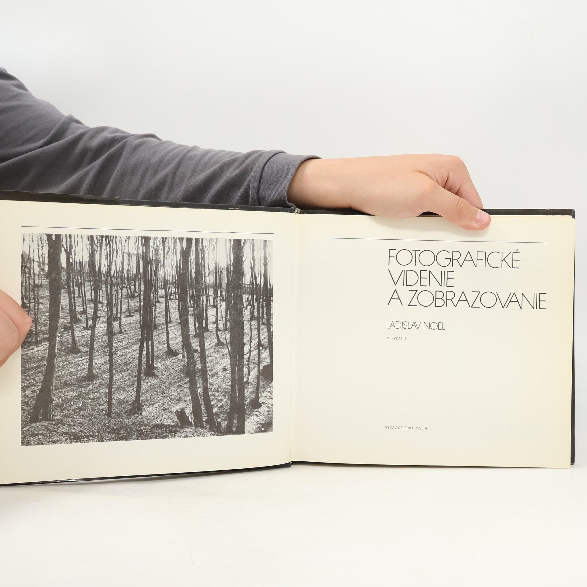 Ladislav Noel Fotografické videnie a zobrazovanie