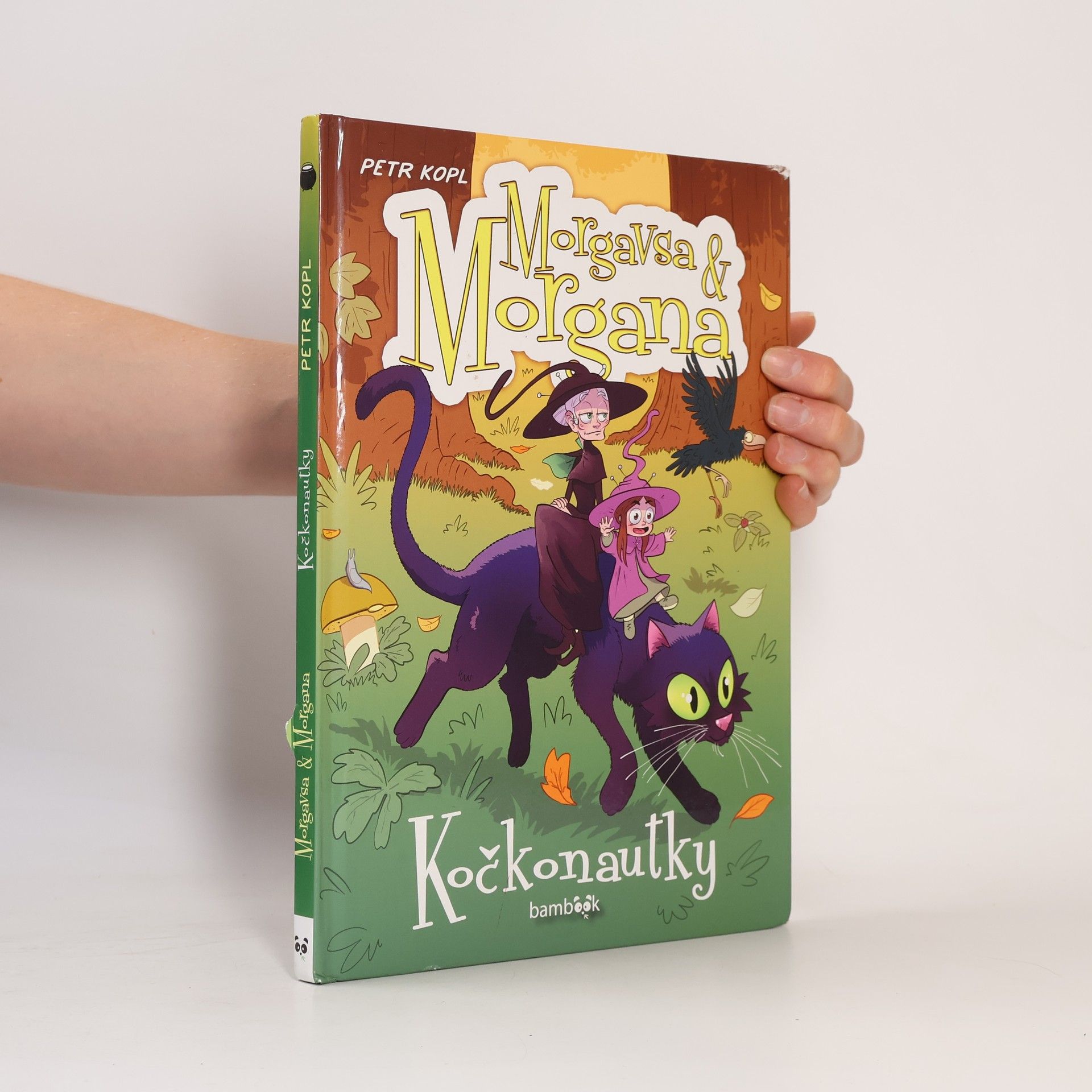 Petr Kopl Morgavsa & Morgana: Kočkonautky
