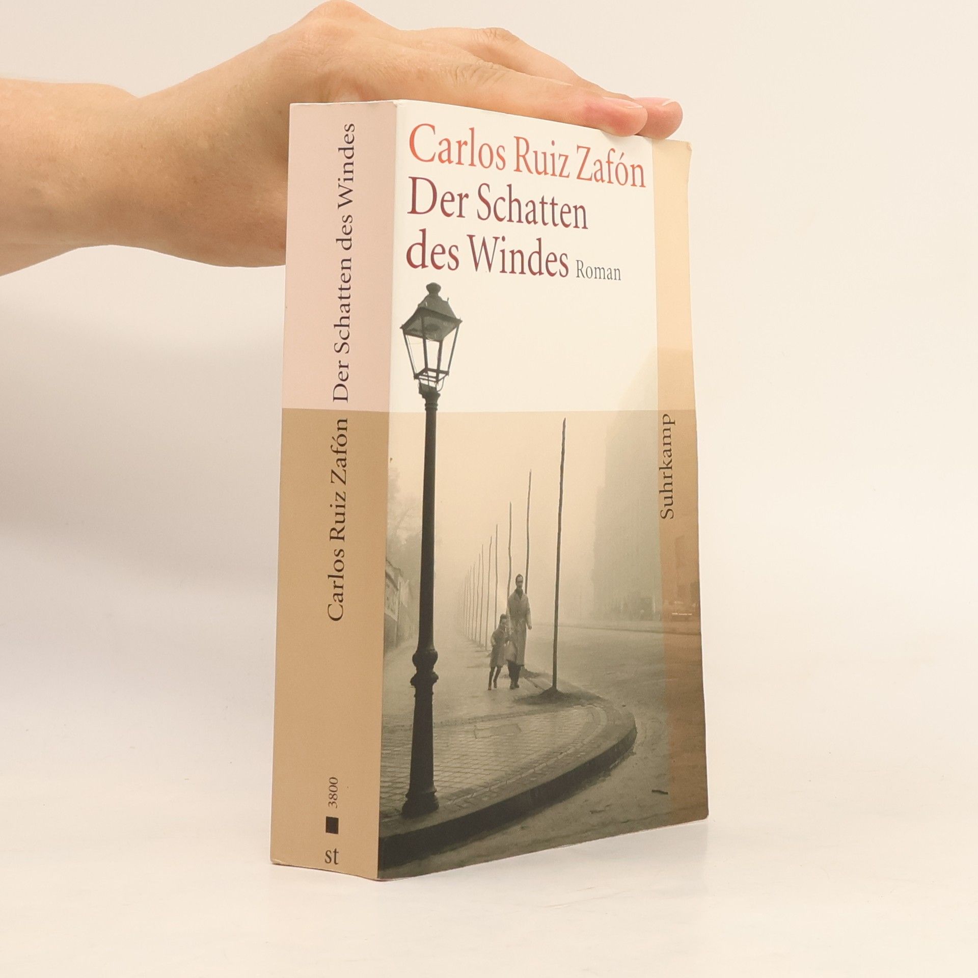 Carlos Ruiz Zafón Der Schatten des Windes
