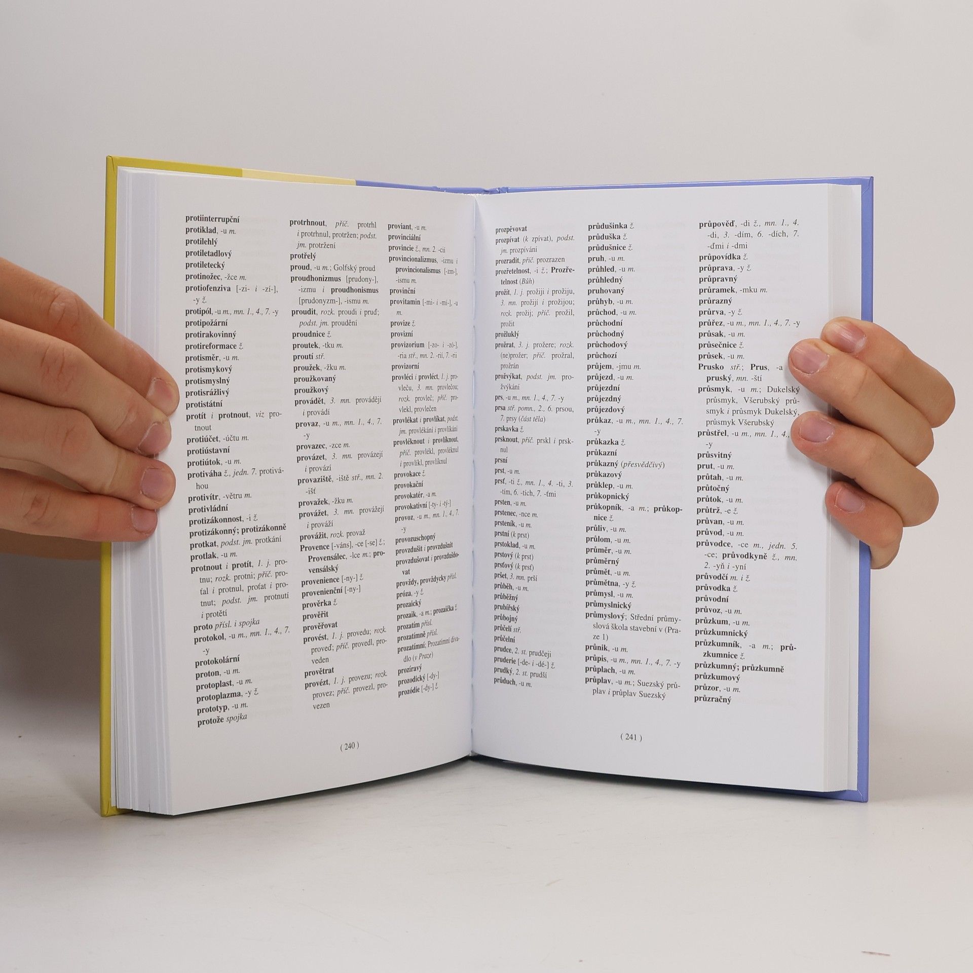 Autorenkollektiv Pravidla českého pravopisu