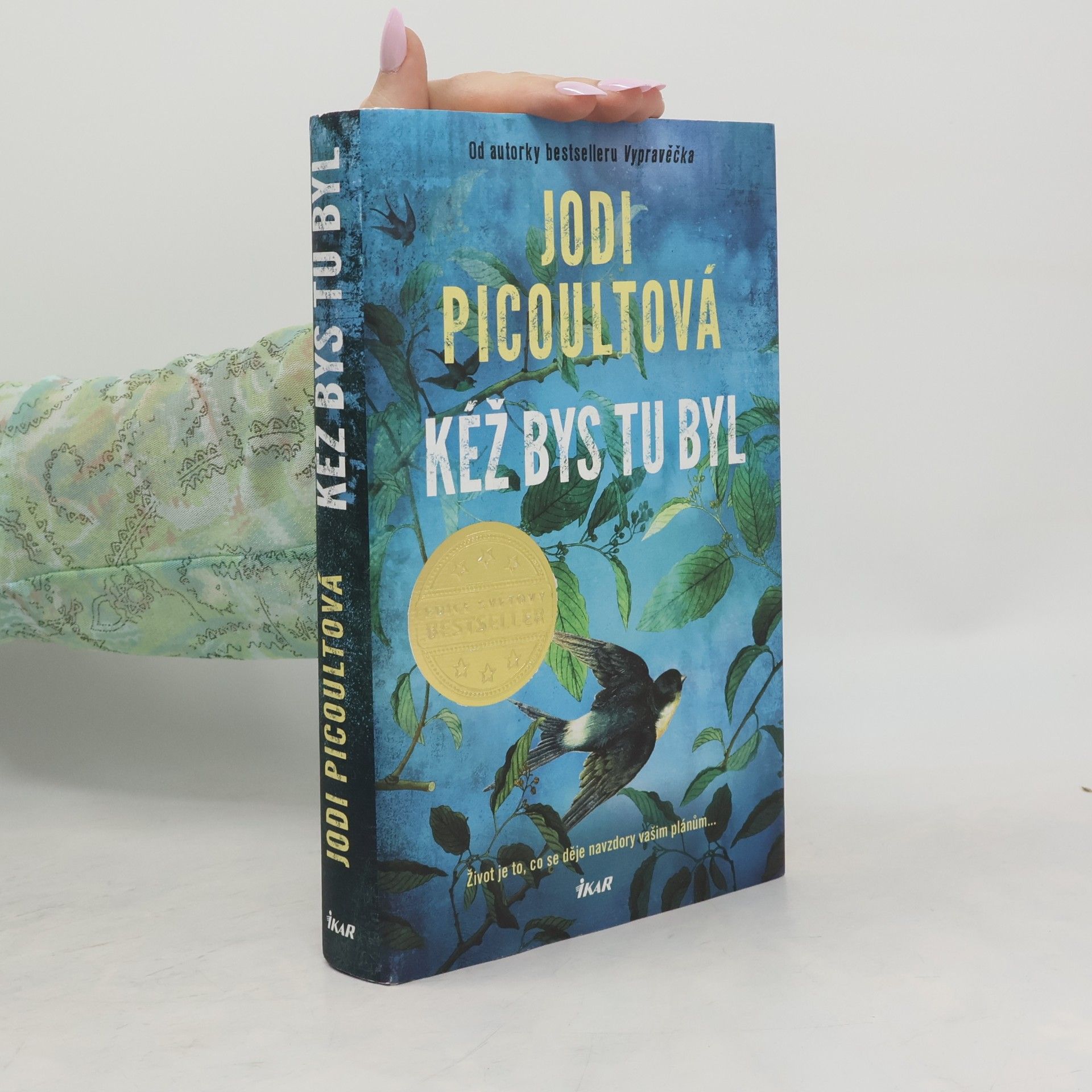 Jodi Picoult Kéž bys tu byl