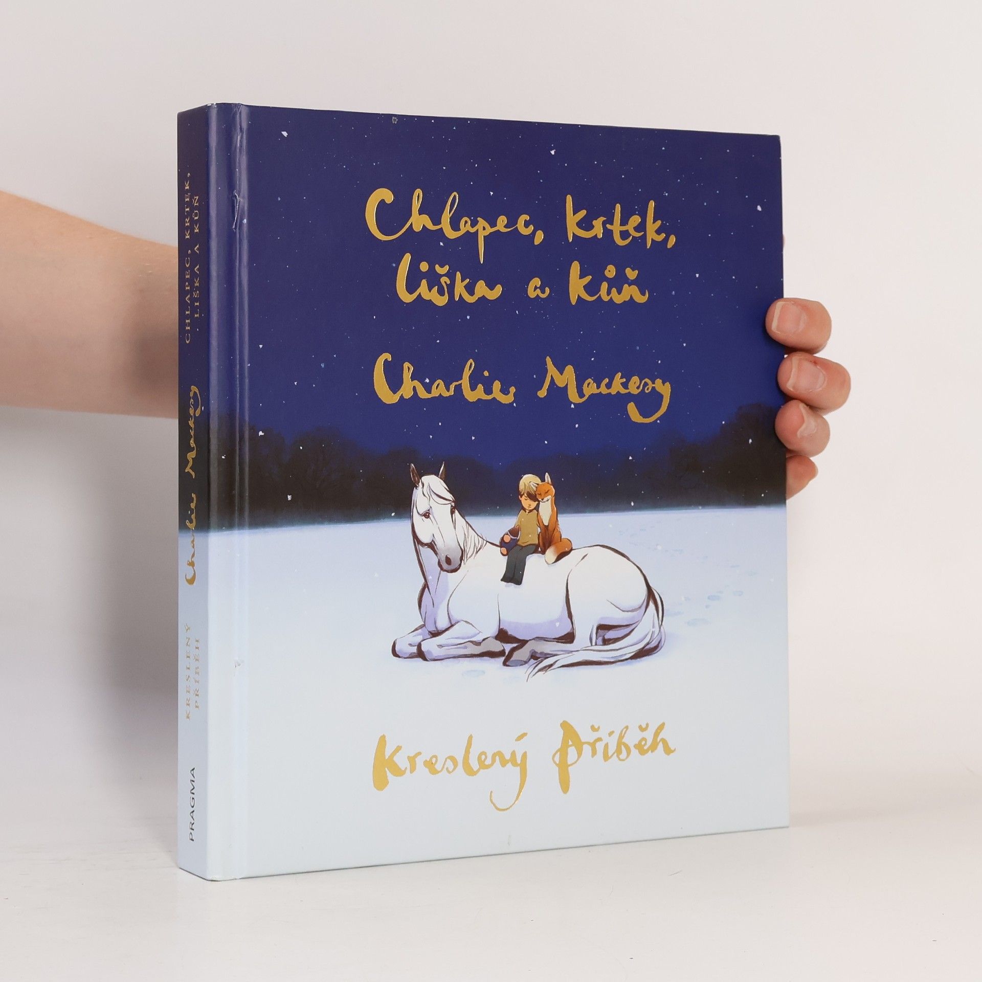 Charlie Mackesy Chlapec, krtek, liška a kůň : kreslený příběh