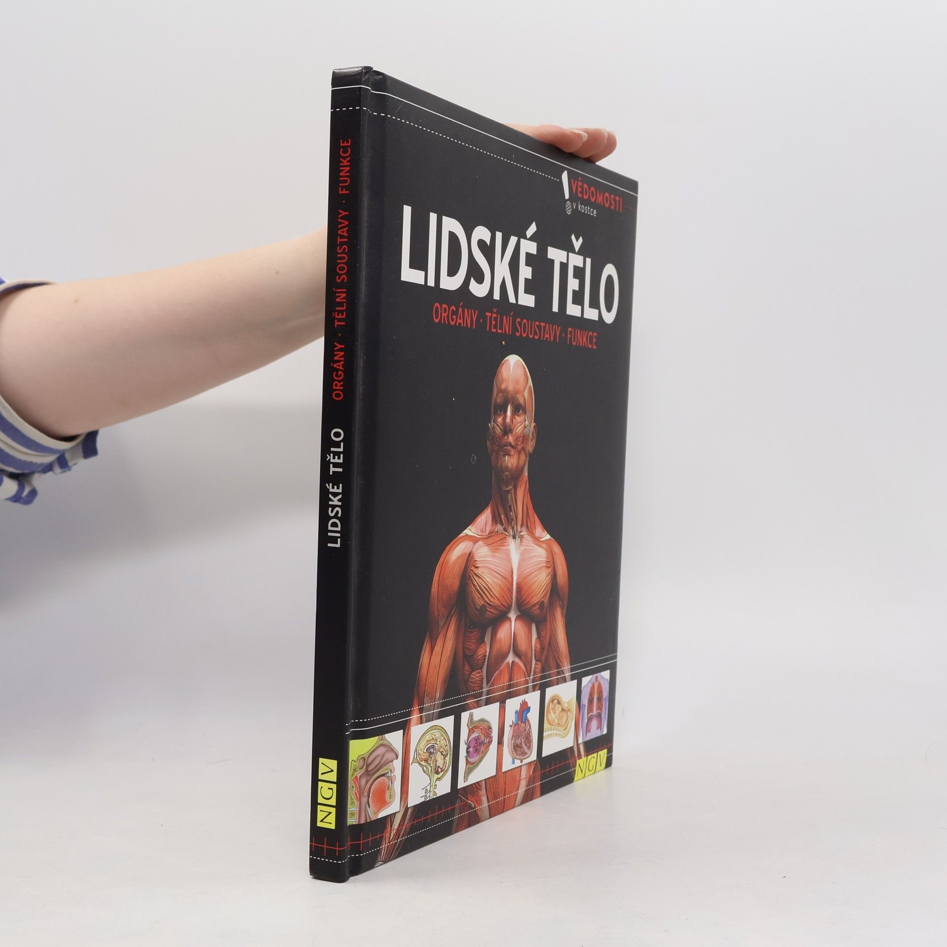 Autorenkollektiv Lidské tělo