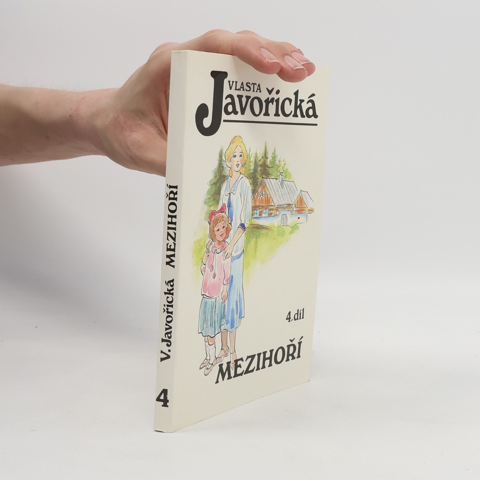Mezihoří 4