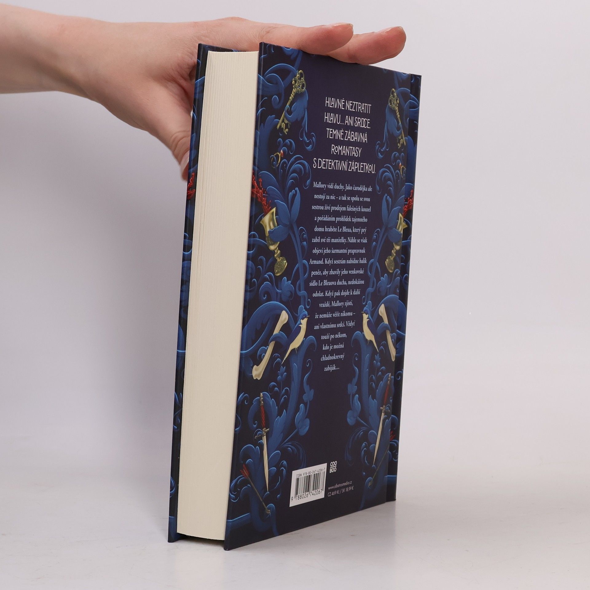 Marissa Meyer Dům rodu Safírů