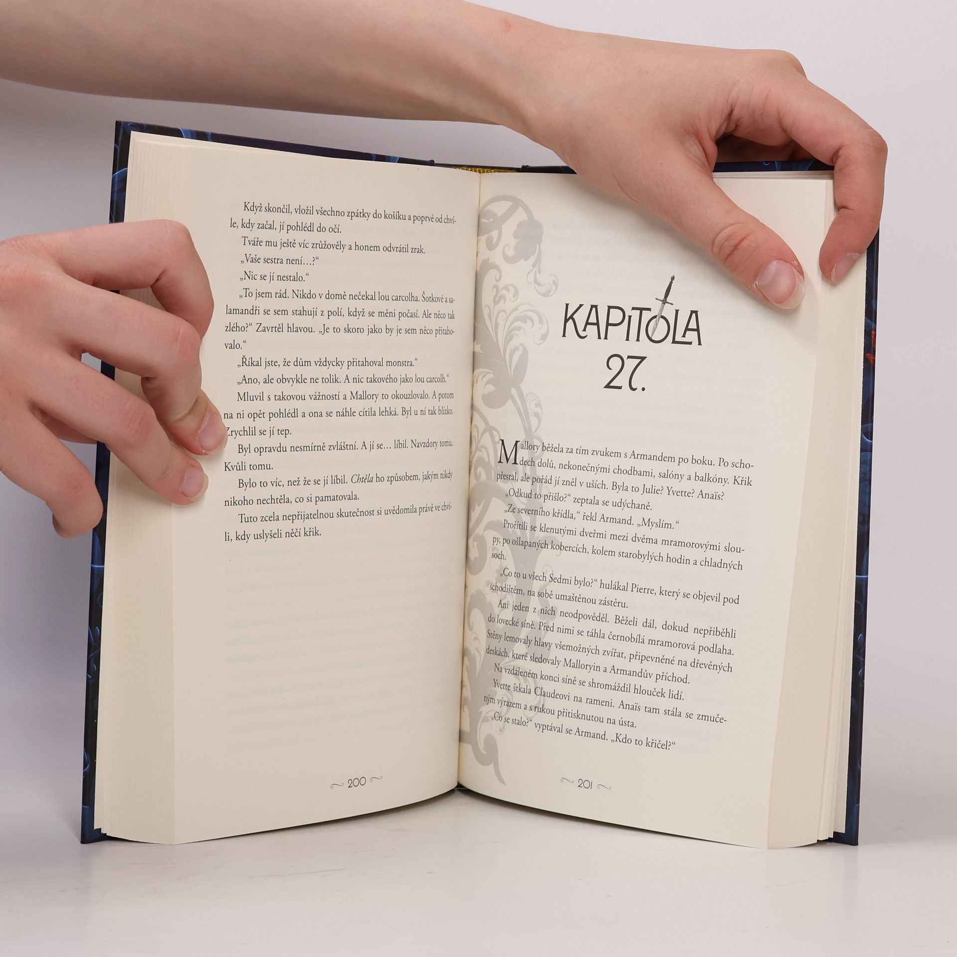 Marissa Meyer Dům rodu Safírů