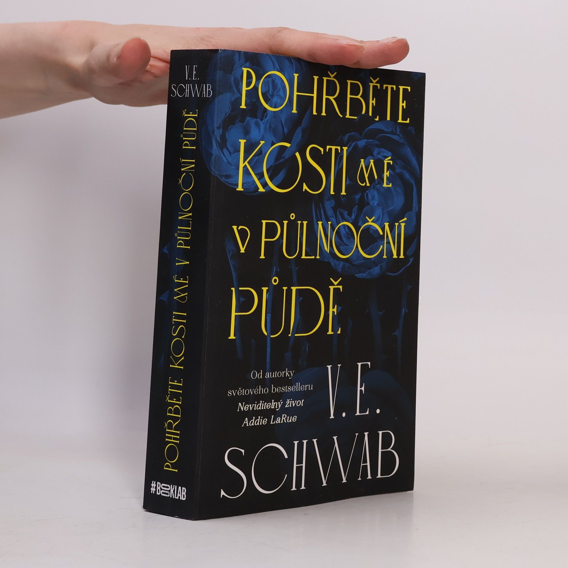 V. E. Schwab Pohřběte kosti mé v půlnoční půdě