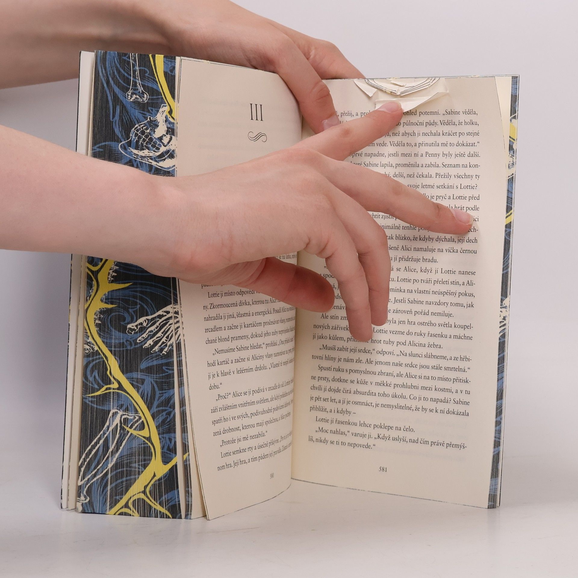 V. E. Schwab Pohřběte kosti mé v půlnoční půdě