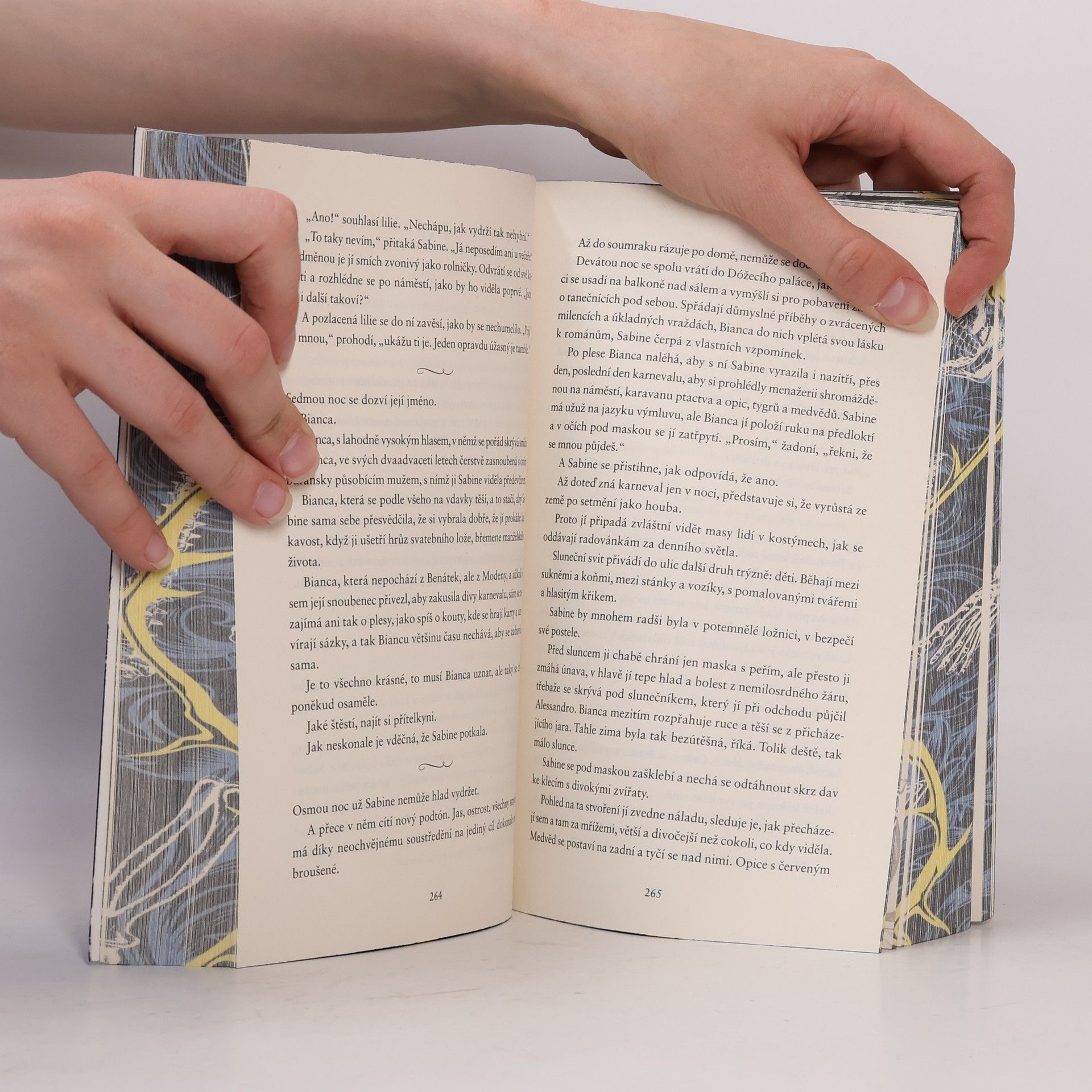 V. E. Schwab Pohřběte kosti mé v půlnoční půdě