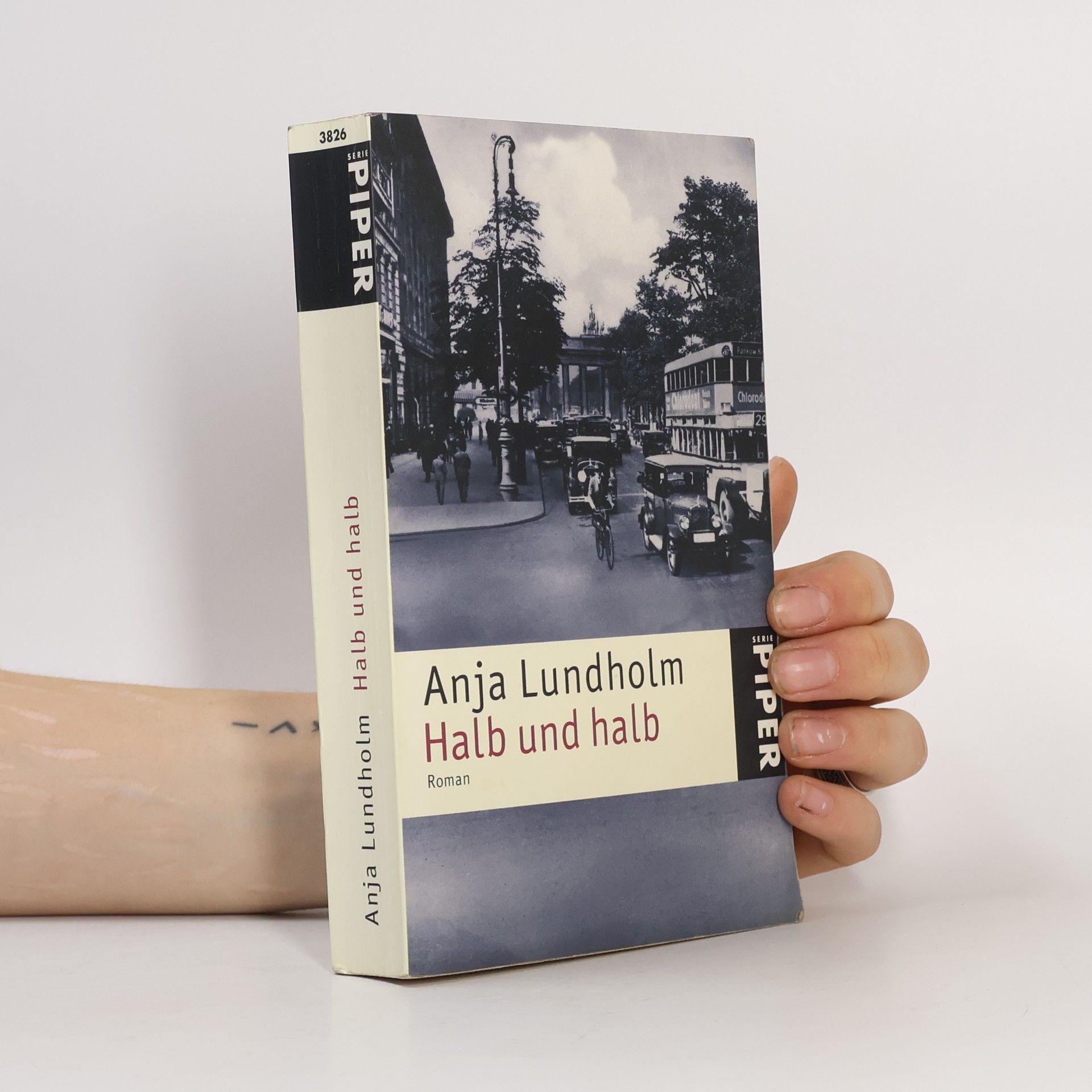 Anja Lundholm Halb und halb