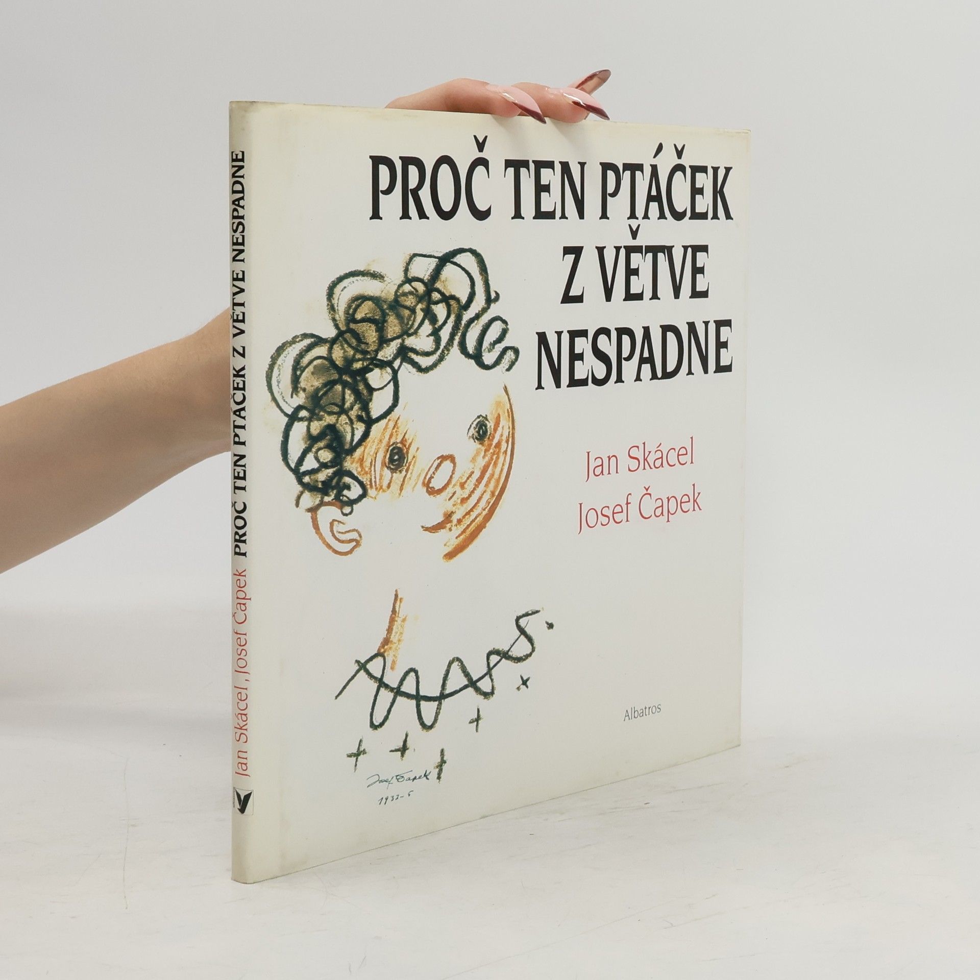 Proč ten ptáček z větve nespadne