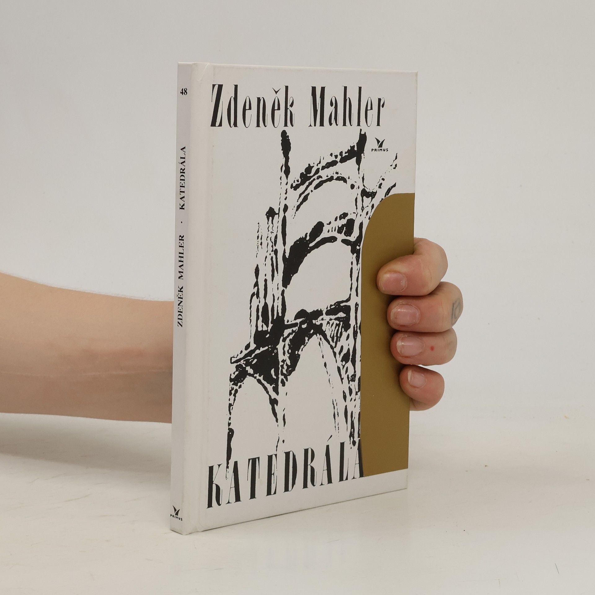 Zdeněk Mahler Katedrála
