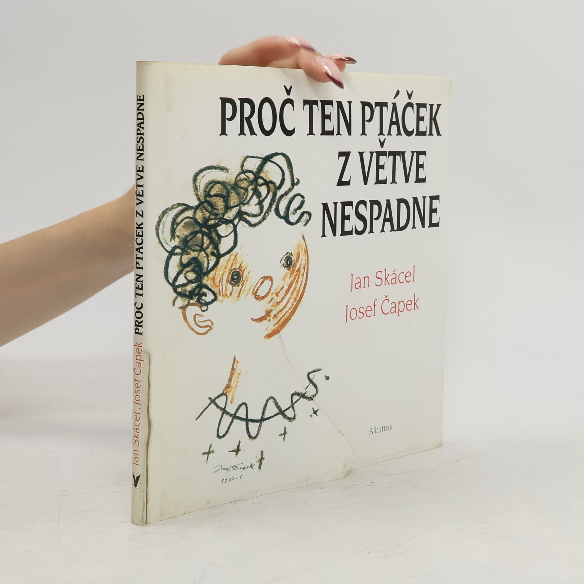 Josef Čapek Proč ten ptáček z větve nespadne