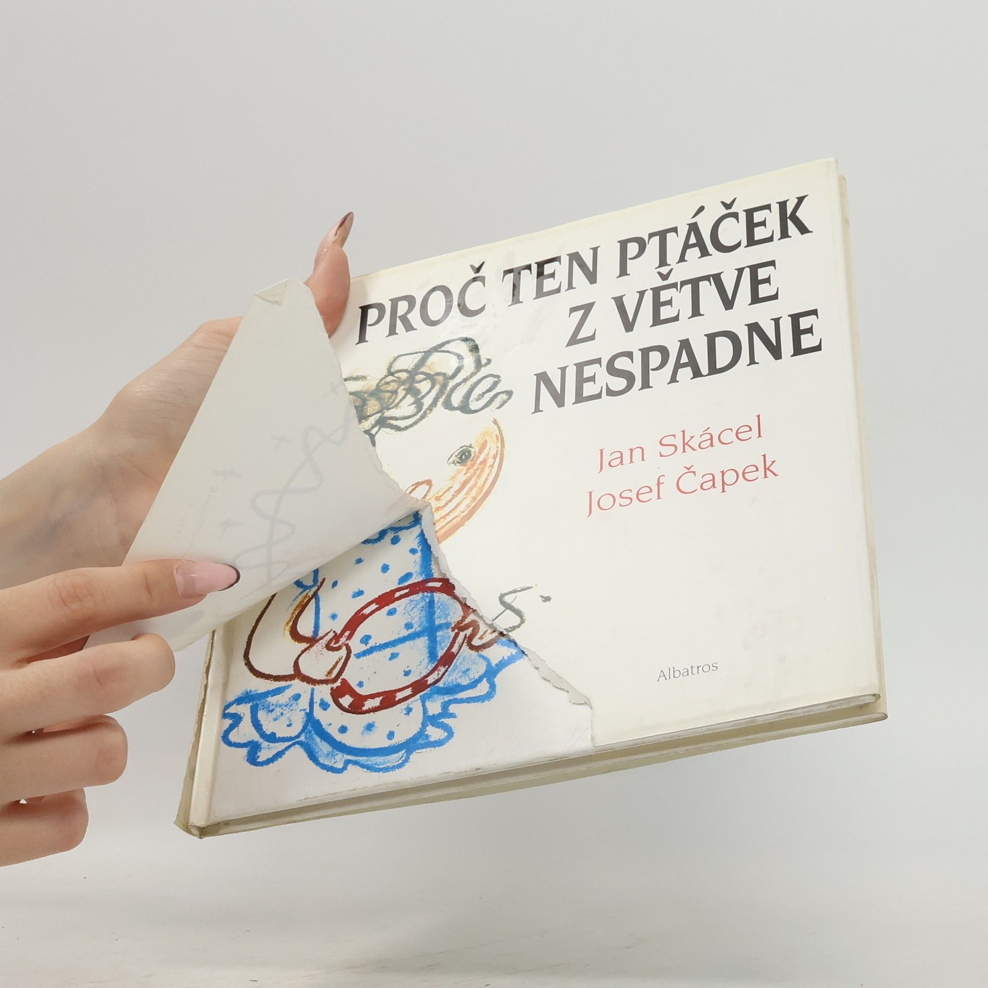 Josef Čapek Proč ten ptáček z větve nespadne