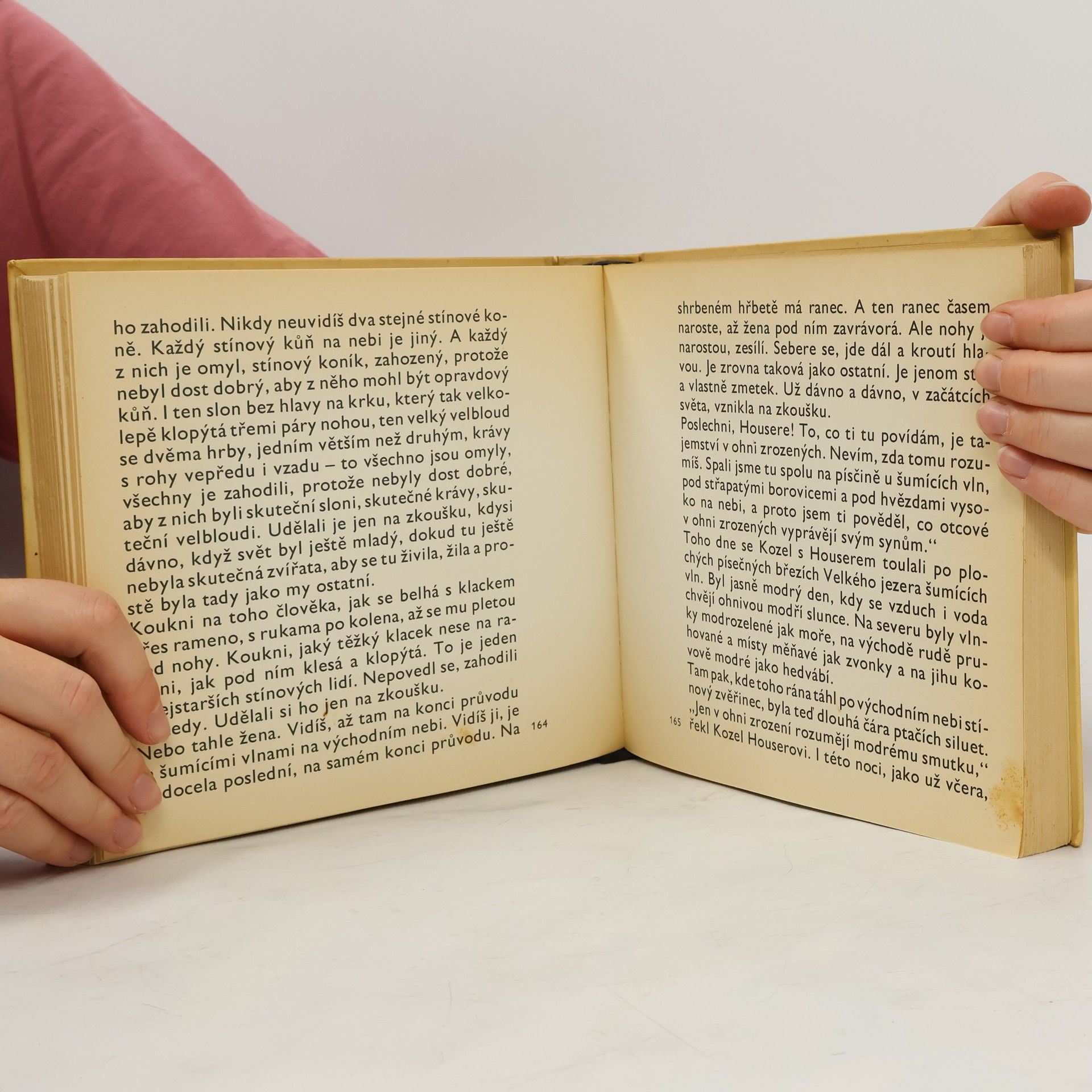 Carl Sandburg Pohádky z bramborových řádků