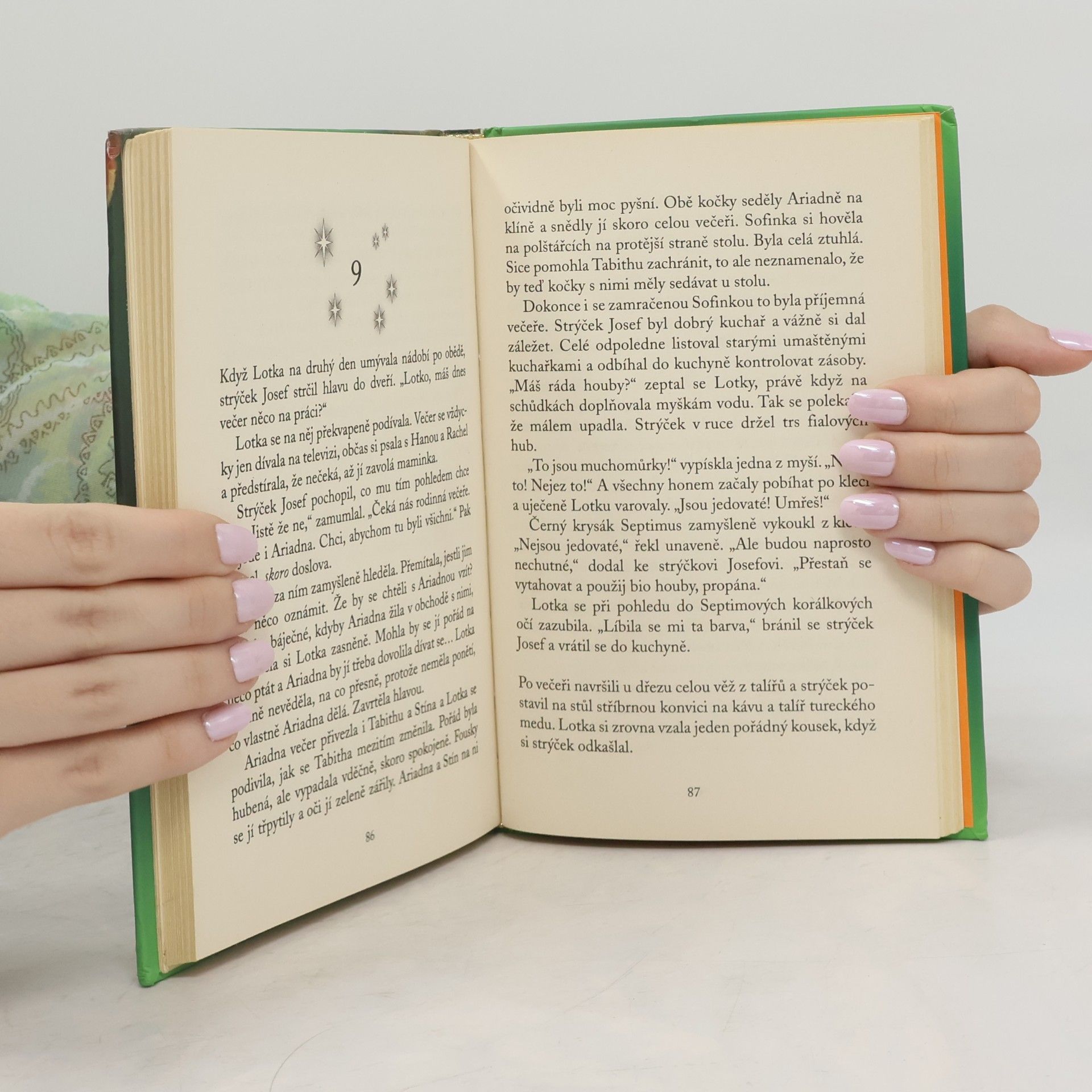 Holly Webb Magická zvířata. Kočičí čáry